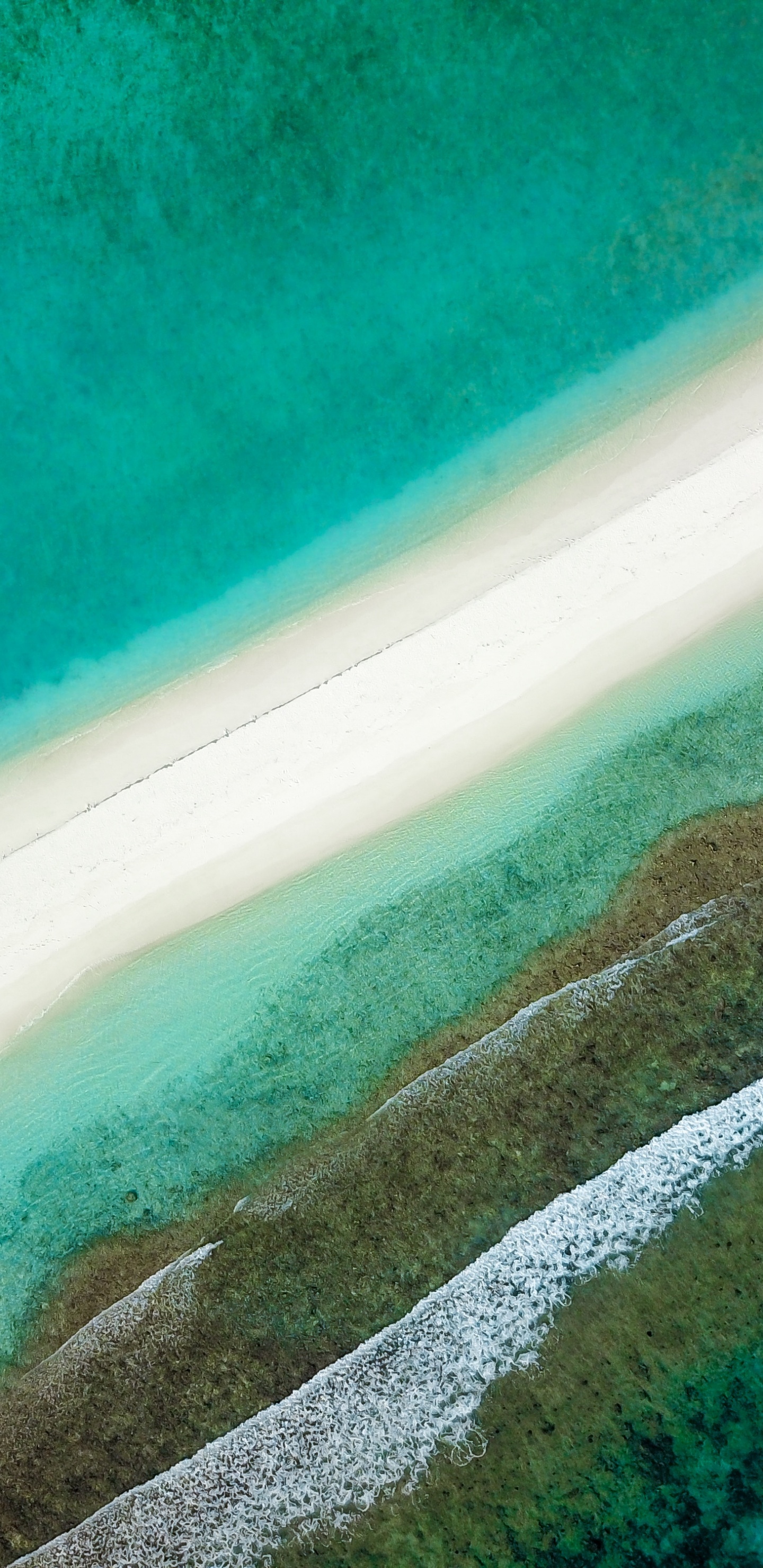 Обои синий, зеленый, Аква, бирюза, вода в разрешении 1440x2960