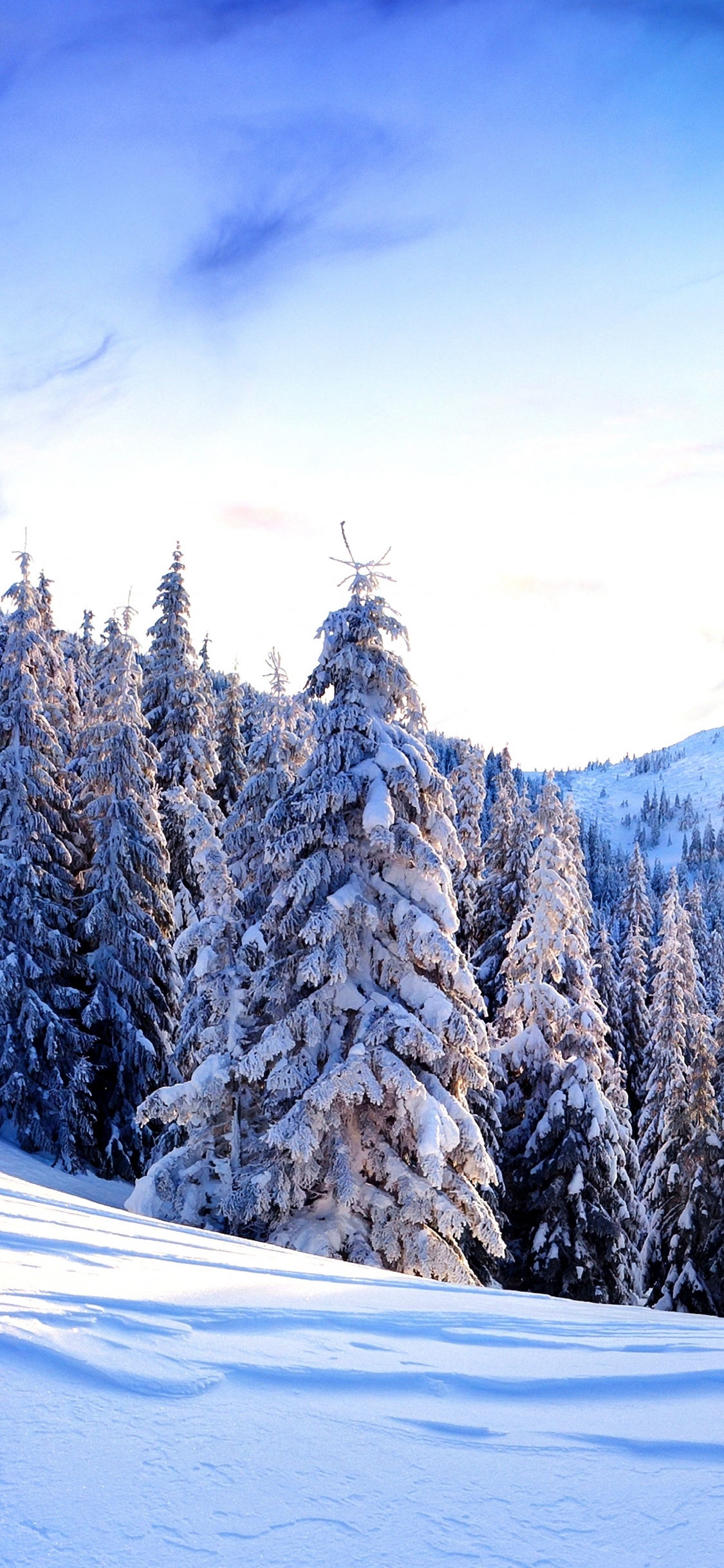 Обои гора, снег, зима, природа, дерево в разрешении 1125x2436