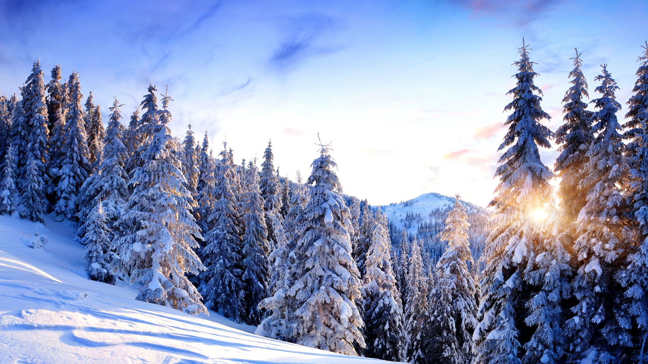 Обои гора, снег, зима, природа, дерево в разрешении 1280x720