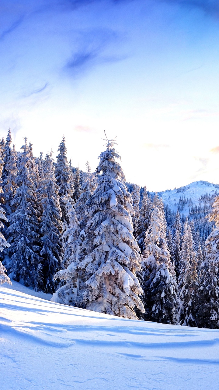 Обои гора, снег, зима, природа, дерево в разрешении 720x1280