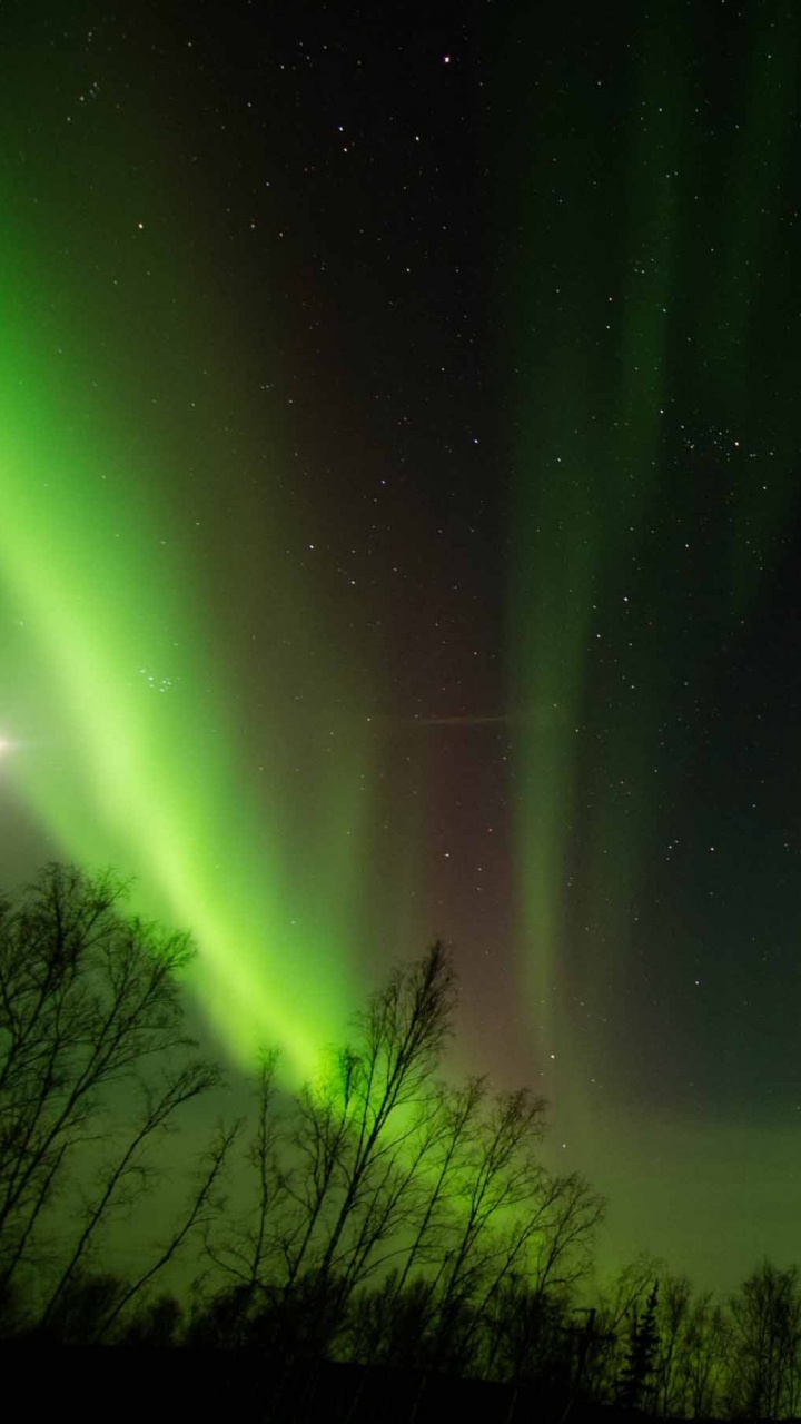 Обои Аврора, природа, зеленый, свет, атмосфера в разрешении 720x1280