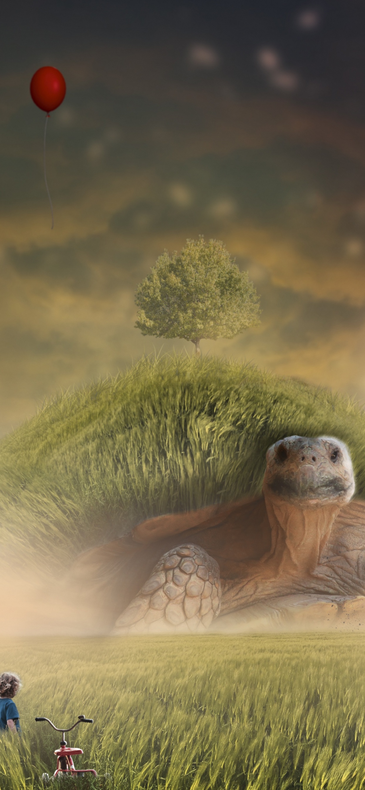 Обои Люди в природе, природа, сенокосное угодье, природный ландшафт, луг в разрешении 1242x2688