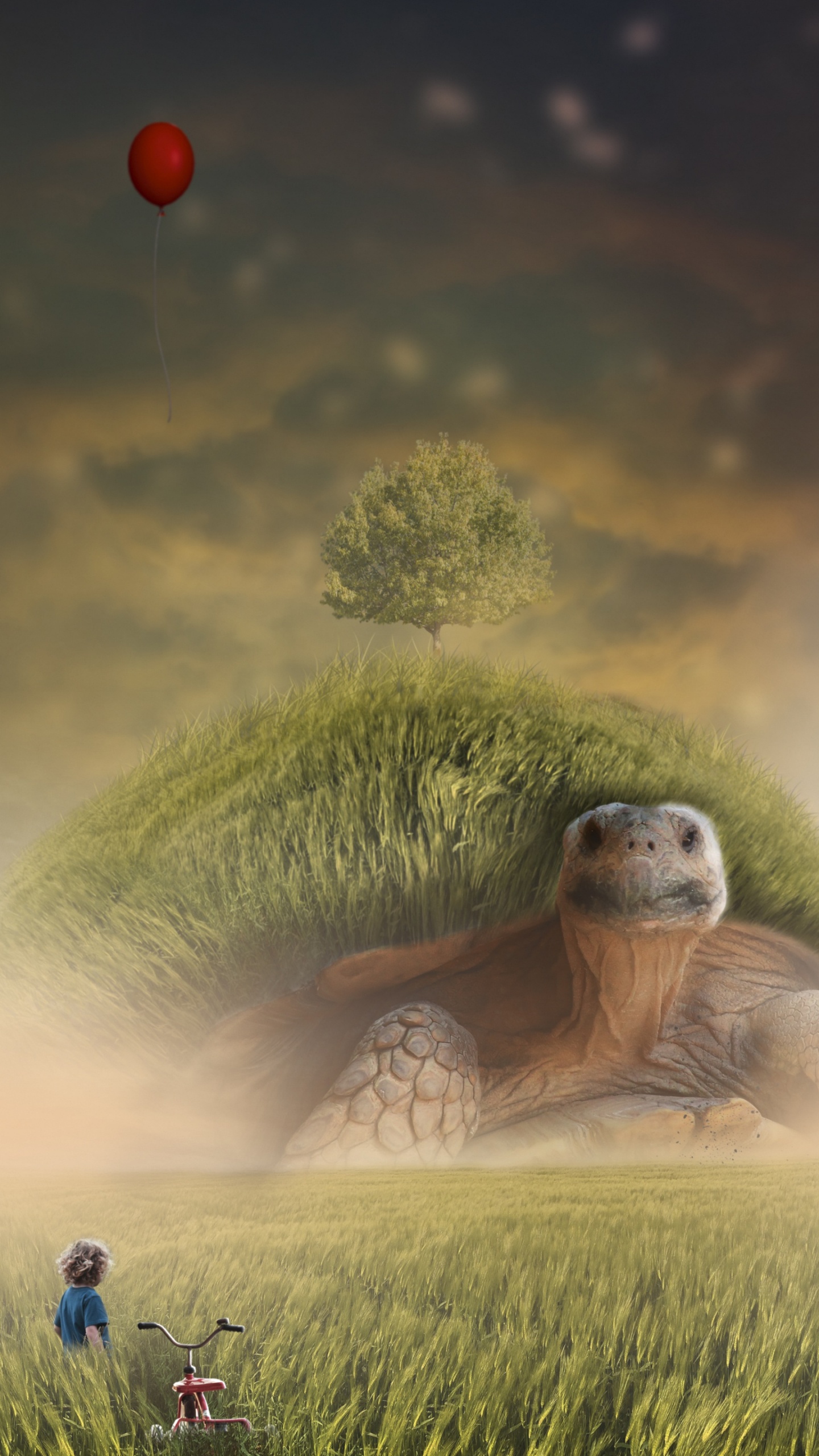 Обои Люди в природе, природа, сенокосное угодье, природный ландшафт, луг в разрешении 1440x2560