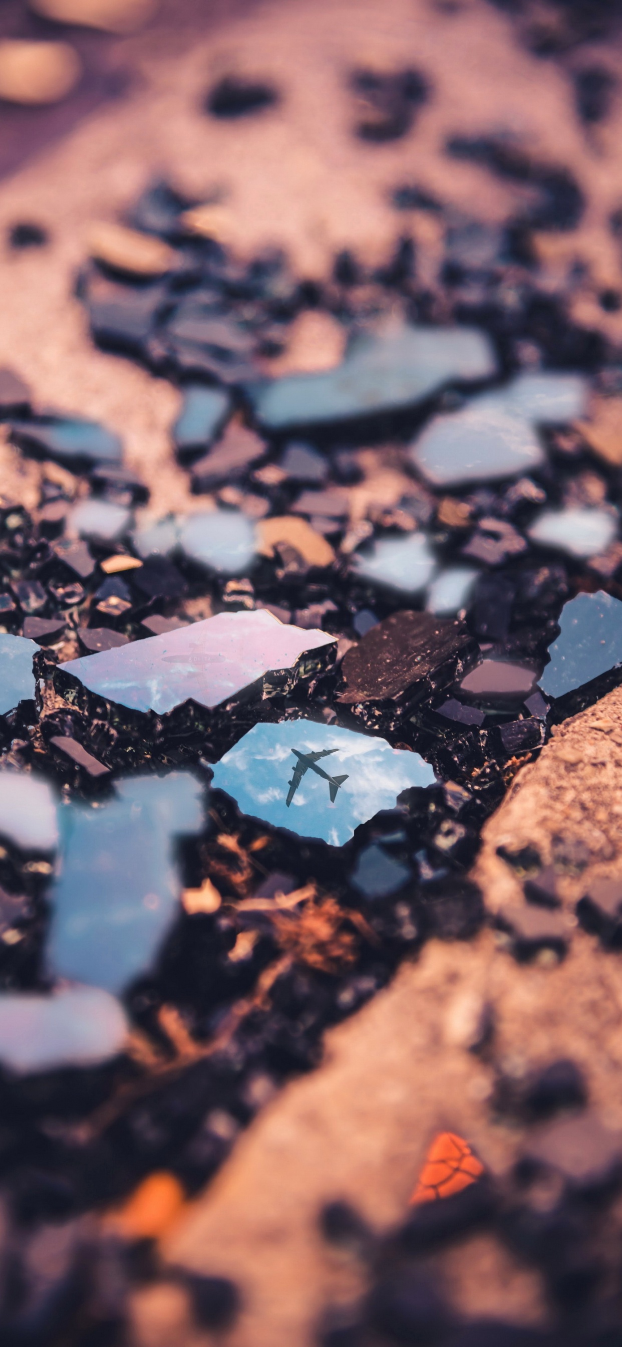 Обои самолет, путешествие, воздушное путешествие, древесина, дорожное покрытие в разрешении 1242x2688