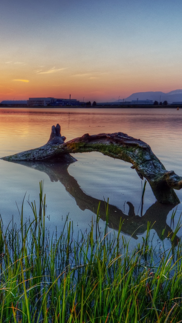 Обои Лох-Несс, вода, отражение, утро, озеро в разрешении 720x1280