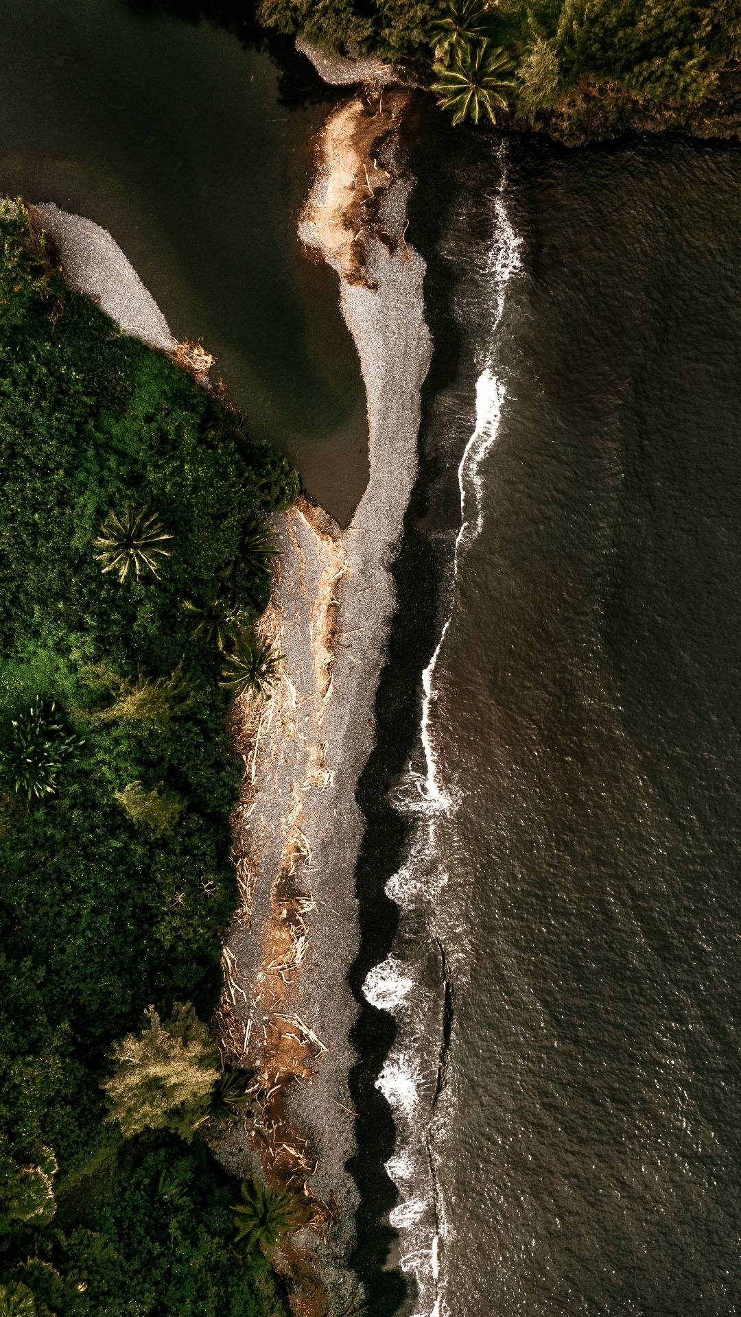 Обои водопад, вода, природа, древесина, солнечный свет в разрешении 1080x1920