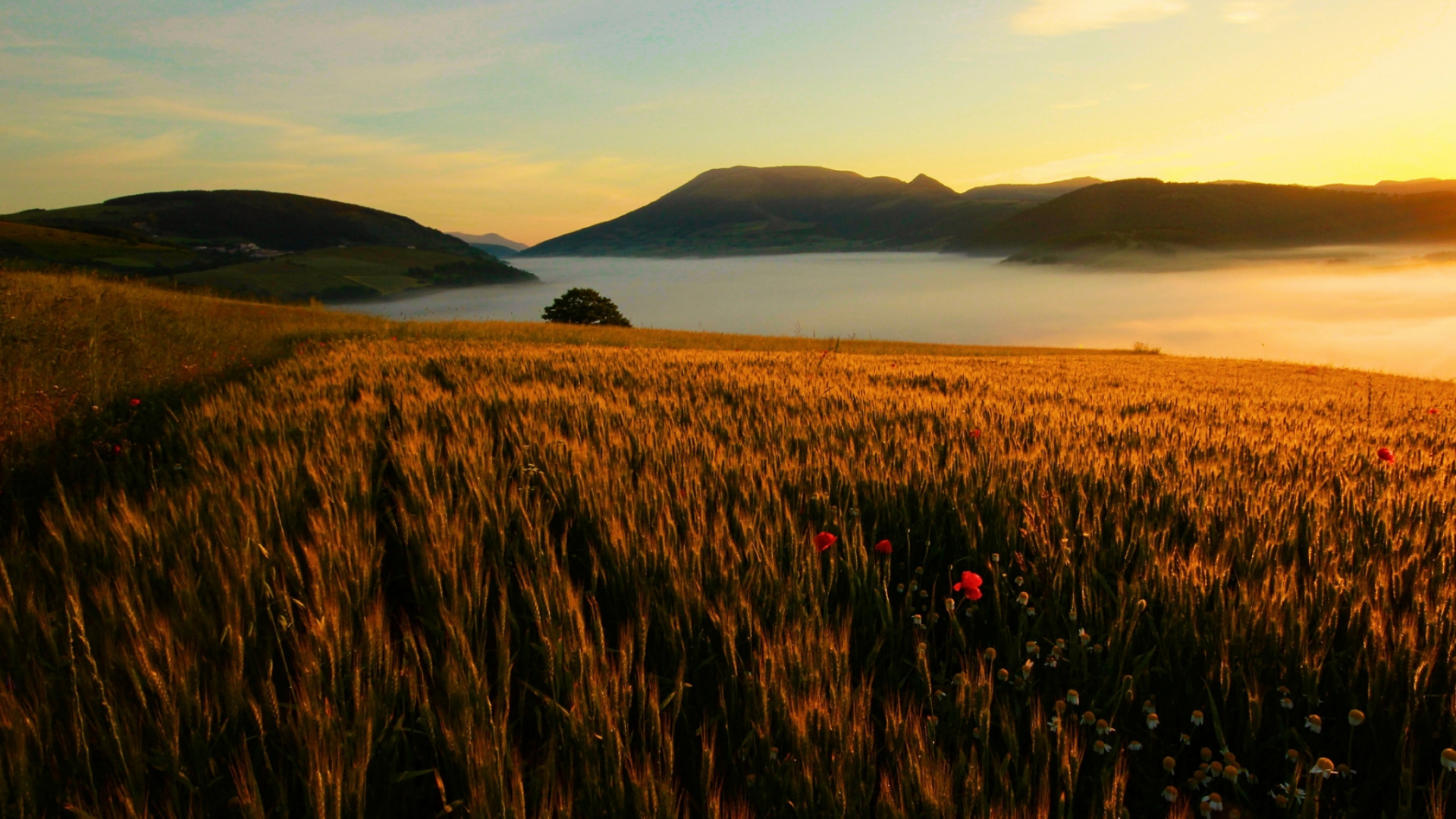 Обои природа, утро, закат, равнина, рассвет в разрешении 1920x1080