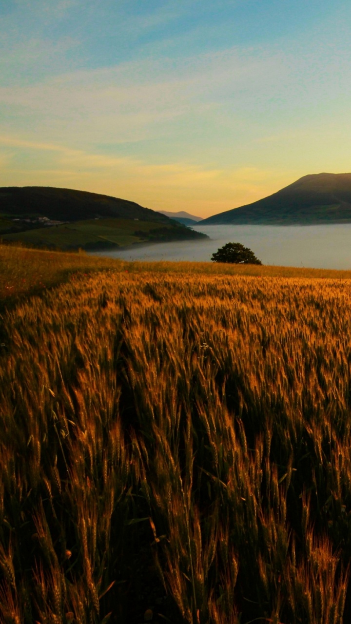 Обои природа, утро, закат, равнина, рассвет в разрешении 720x1280