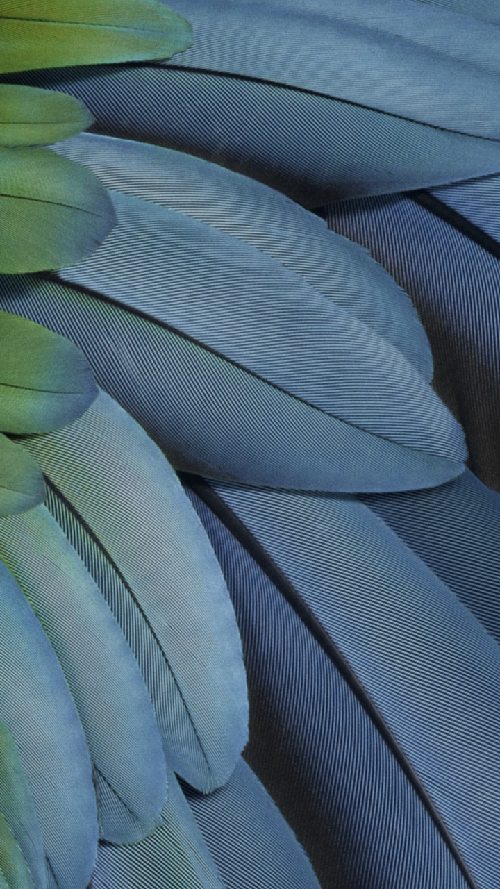 Обои пиксель 7, пиксельная складка, Google, fhd, пиксель 7 а в разрешении 720x1280