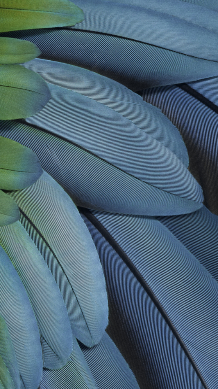 Обои пиксель 7, пиксельная складка, Google, fhd, пиксель 7 а в разрешении 750x1334