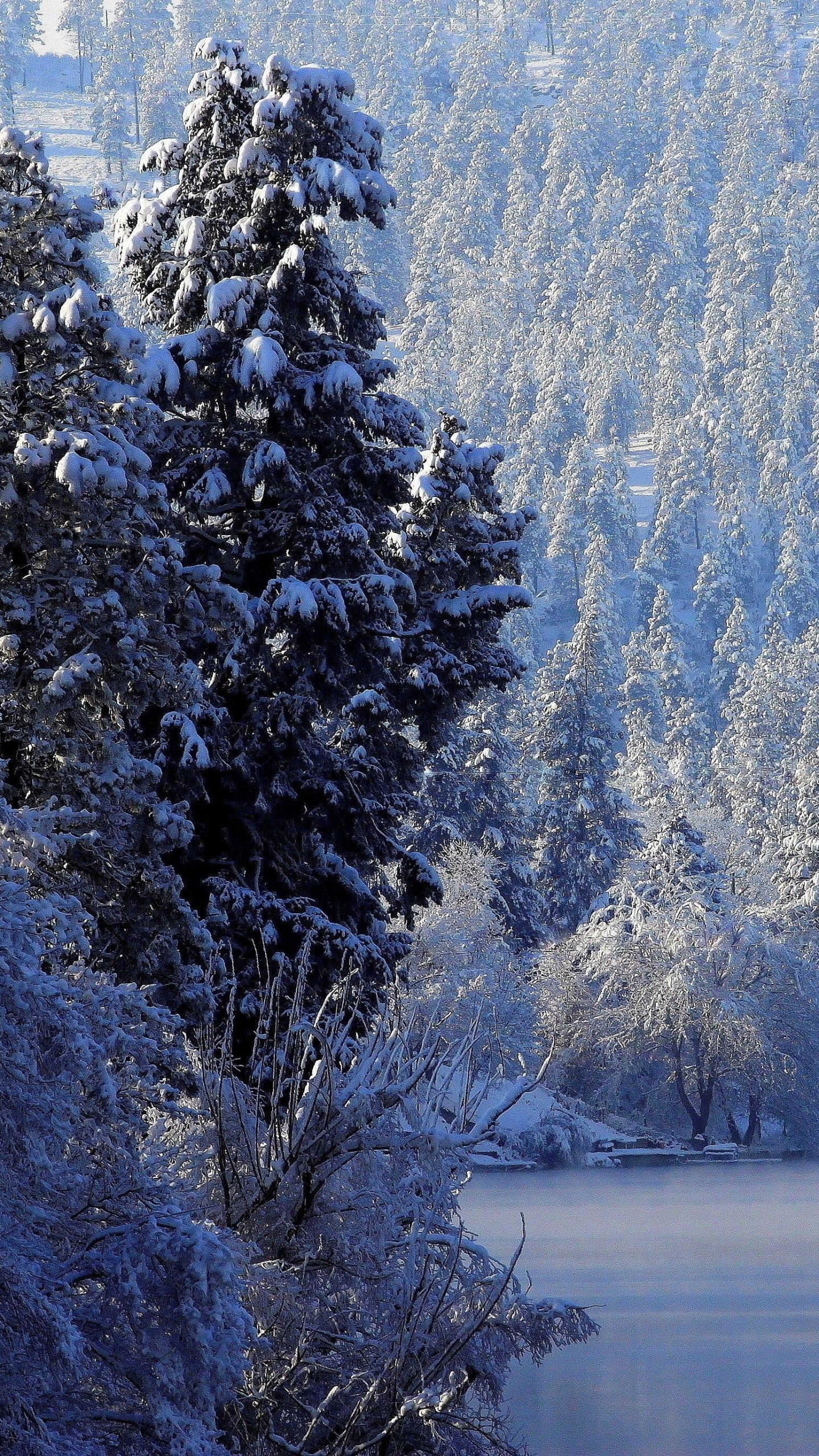 Обои музыка, Пейзаж со снегом, зима, снег, дерево в разрешении 1440x2560
