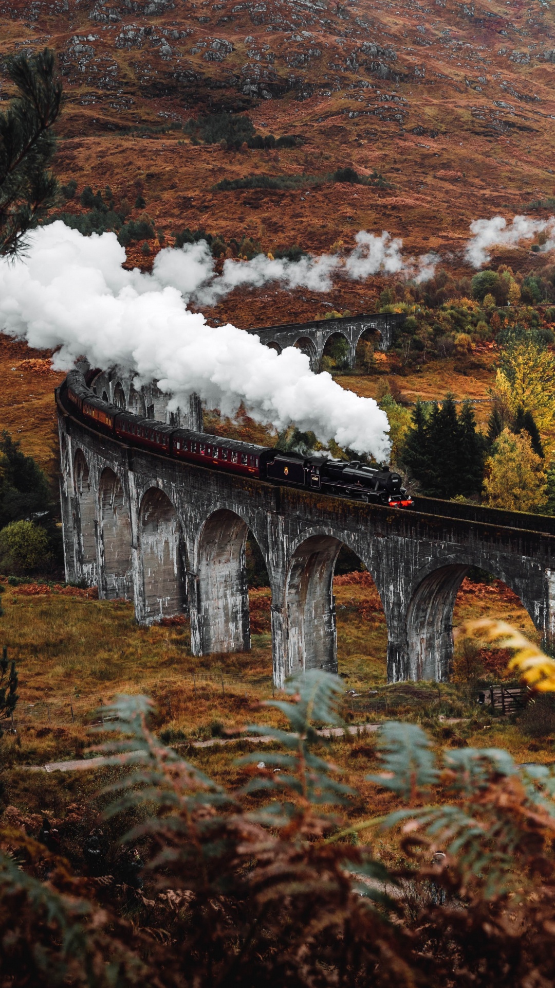 Обои Гарри Поттер осень, Гарри Поттер, осень, постер, природный ландшафт в разрешении 1080x1920