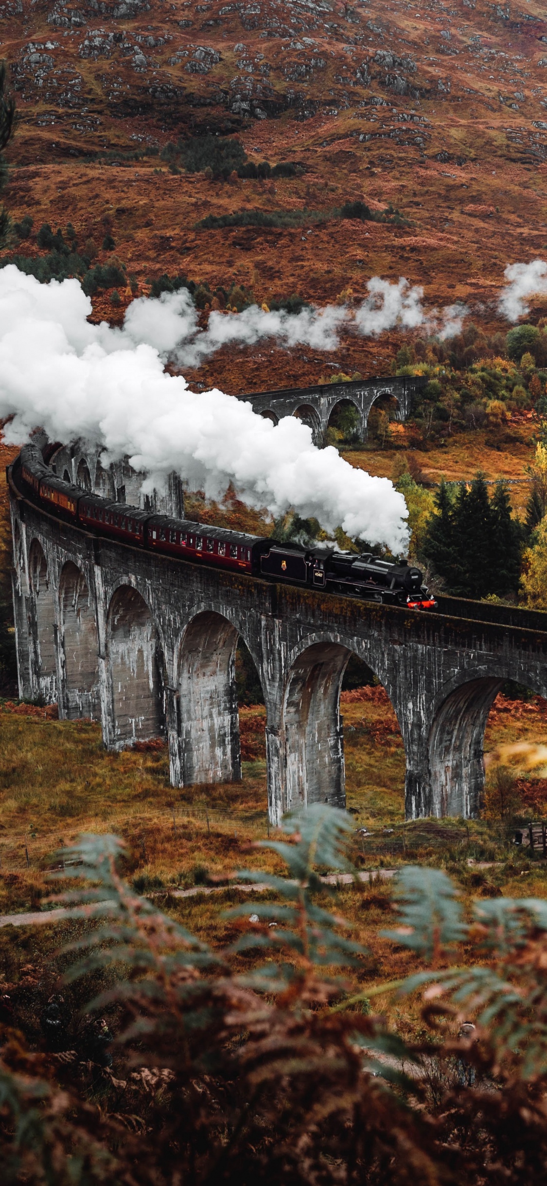 Обои Гарри Поттер осень, Гарри Поттер, осень, постер, природный ландшафт в разрешении 1125x2436