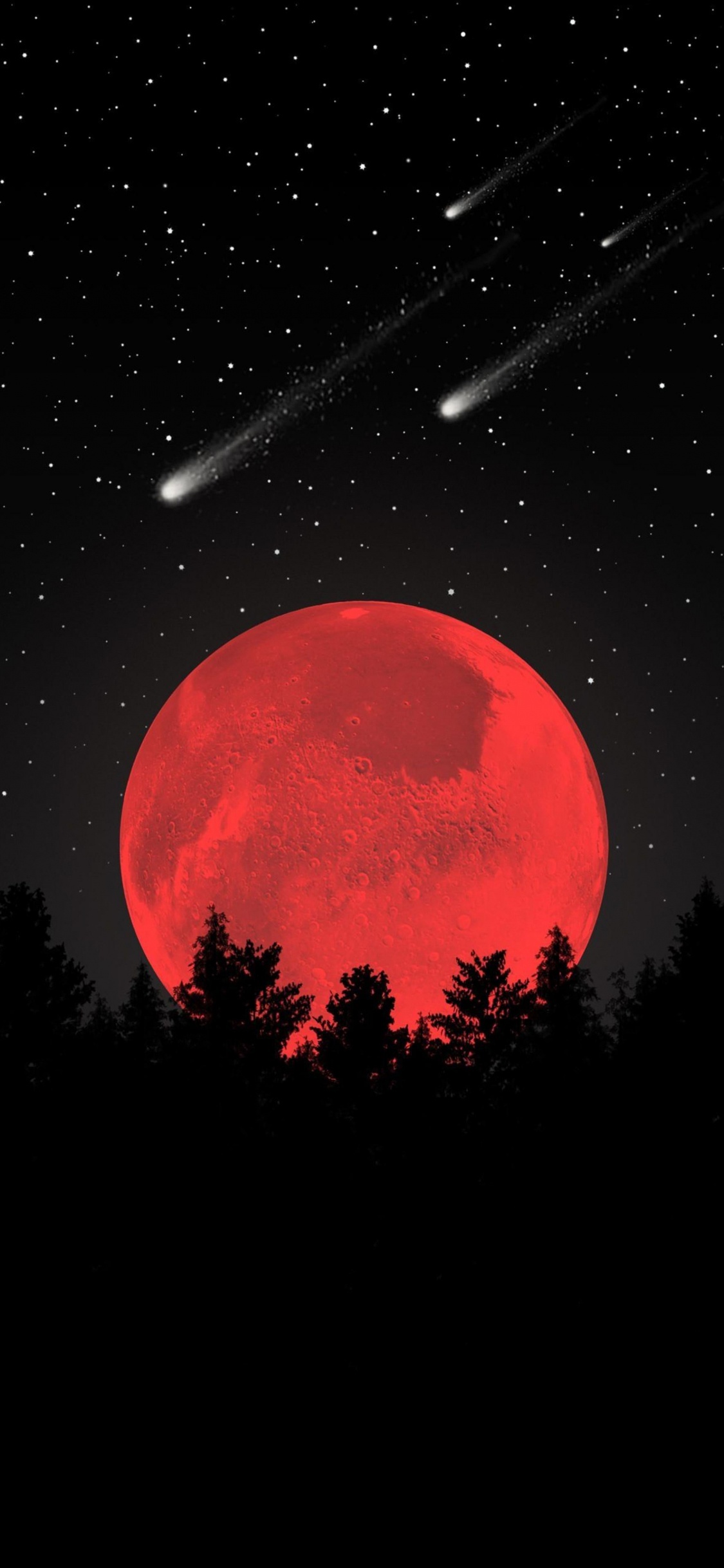 Обои прогулка по небу, атмосфера, мир, природный ландшафт, дерево в разрешении 1125x2436