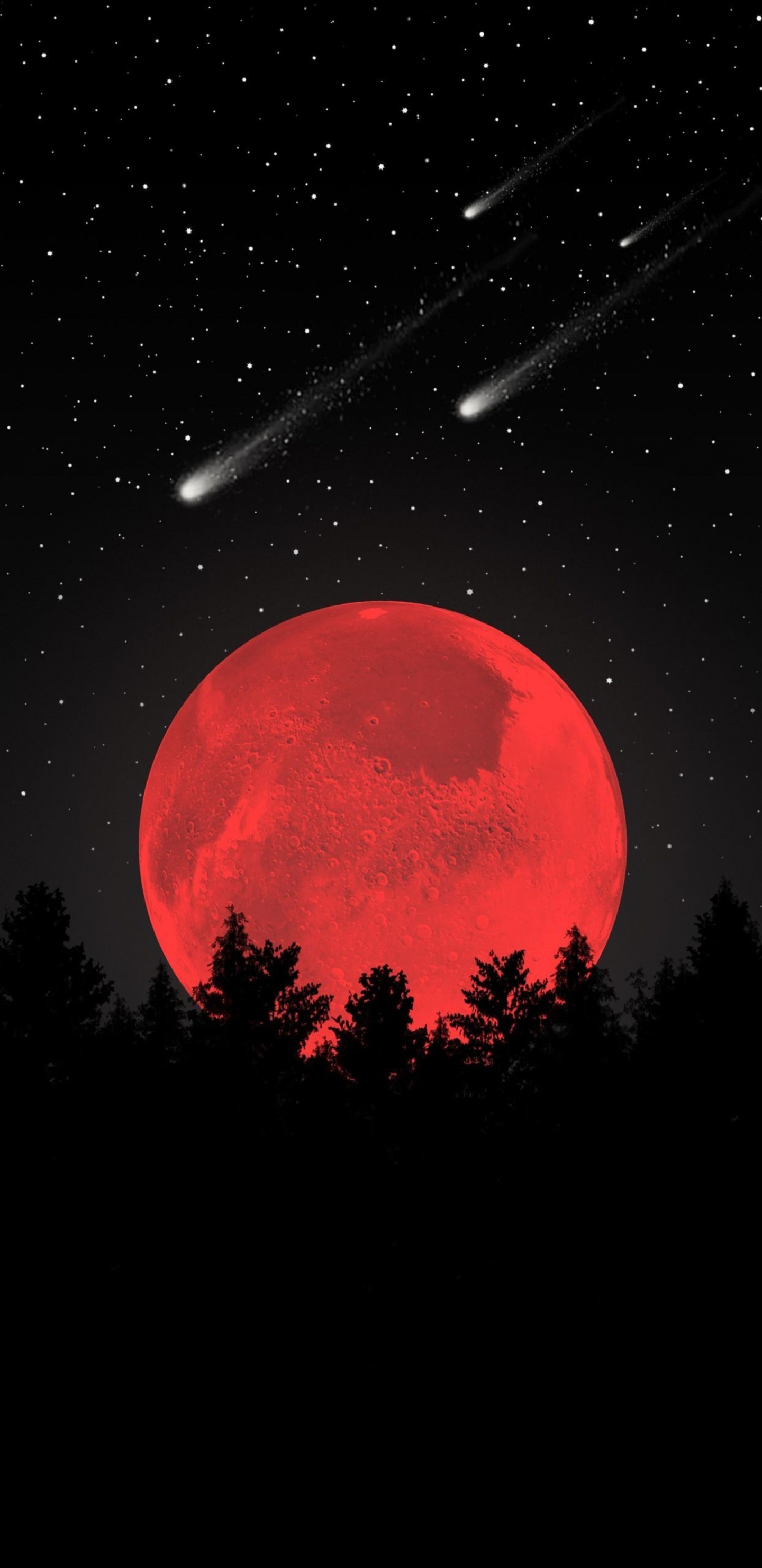 Обои прогулка по небу, атмосфера, мир, природный ландшафт, дерево в разрешении 1440x2960