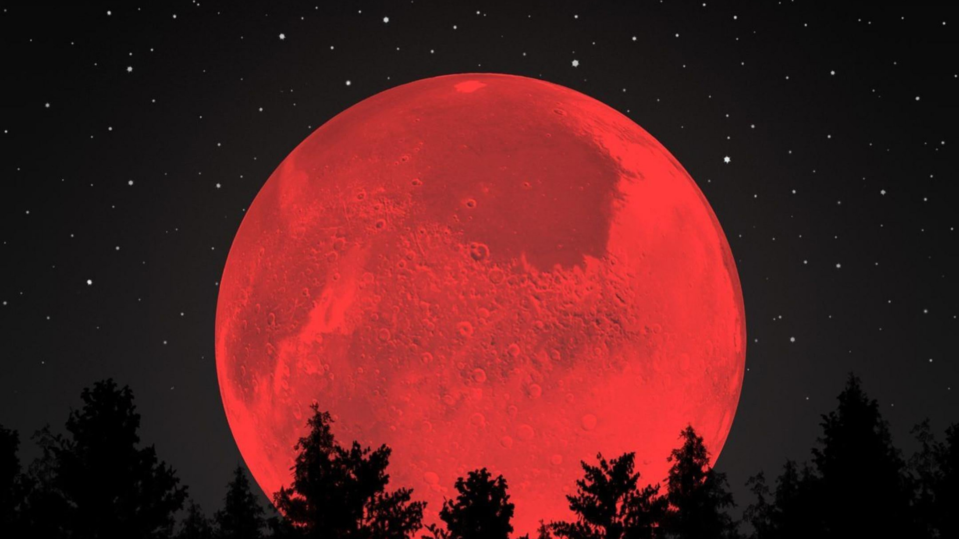 Обои прогулка по небу, атмосфера, мир, природный ландшафт, дерево в разрешении 1920x1080