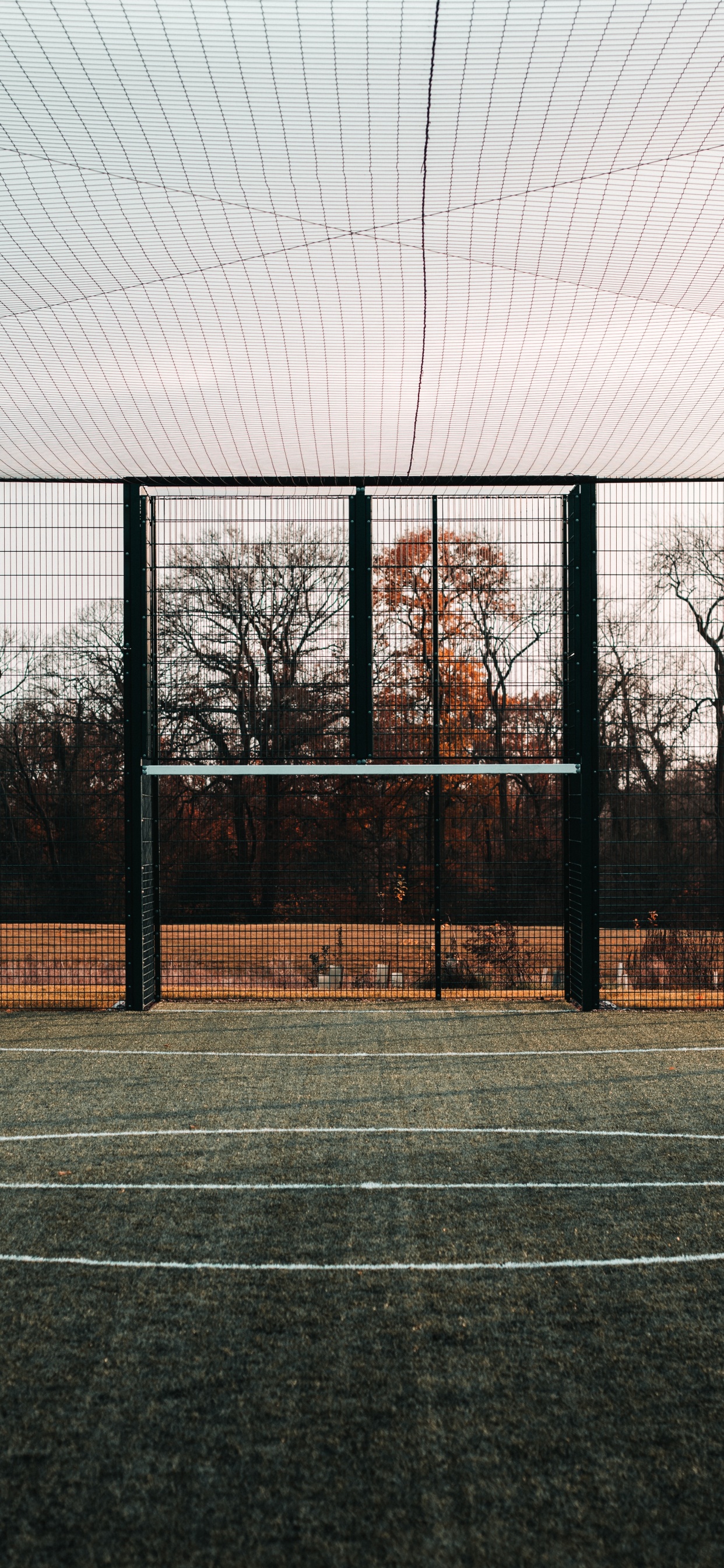 Обои спортивные объекты, теннисный корт, дерево, линия, архитектура в разрешении 1242x2688