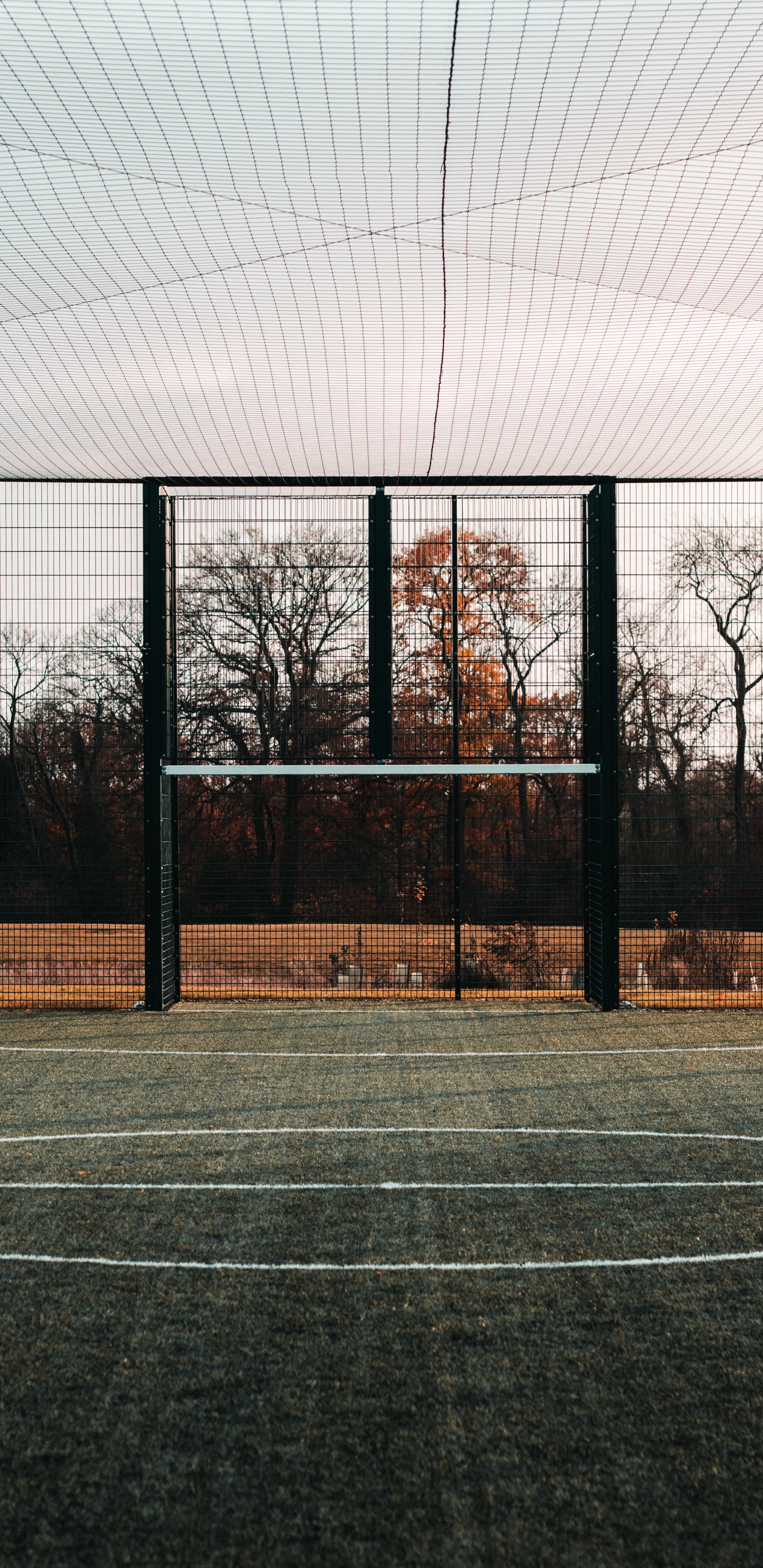 Обои спортивные объекты, теннисный корт, дерево, линия, архитектура в разрешении 1440x2960