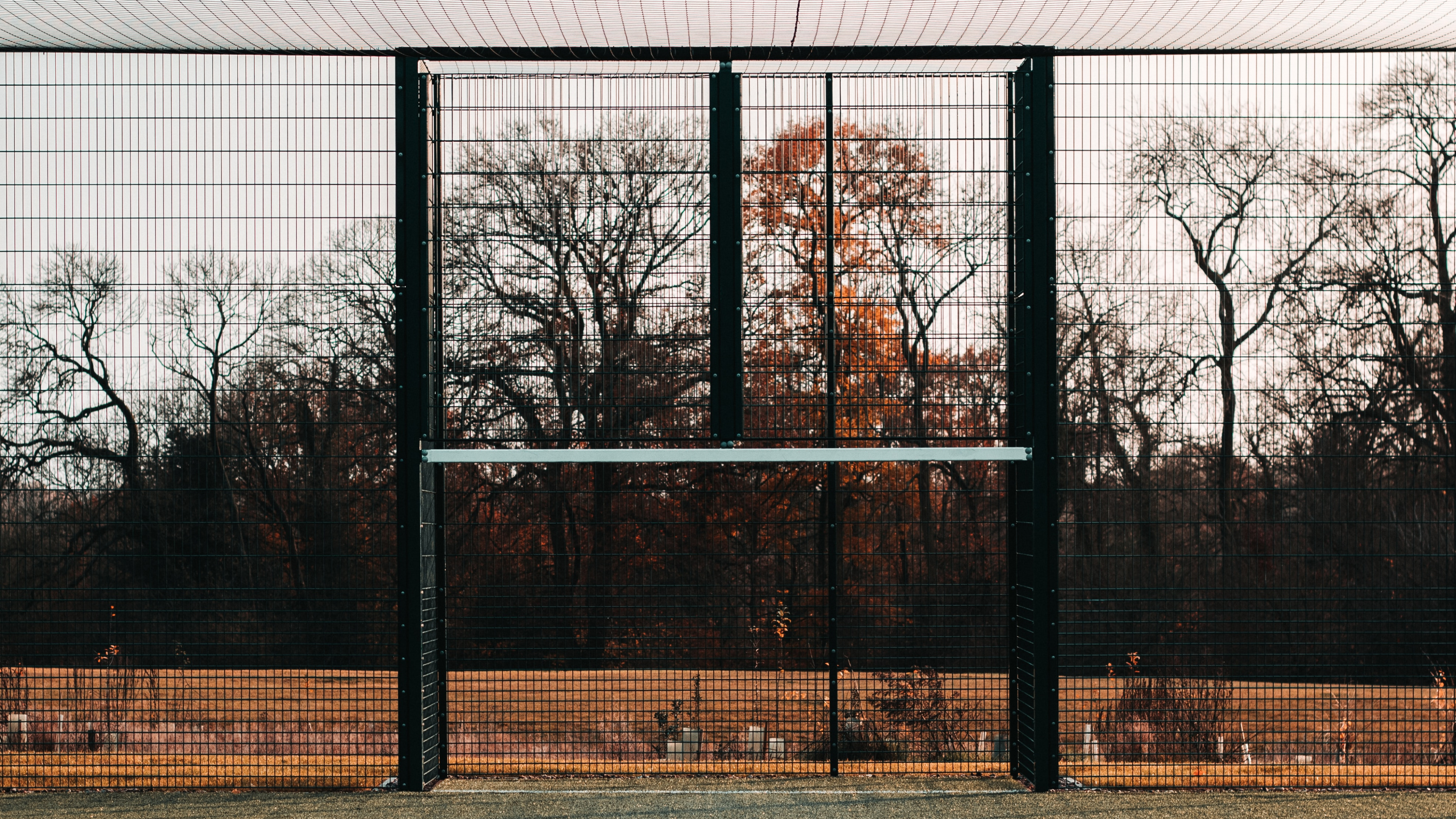 Обои спортивные объекты, теннисный корт, дерево, линия, архитектура в разрешении 3840x2160