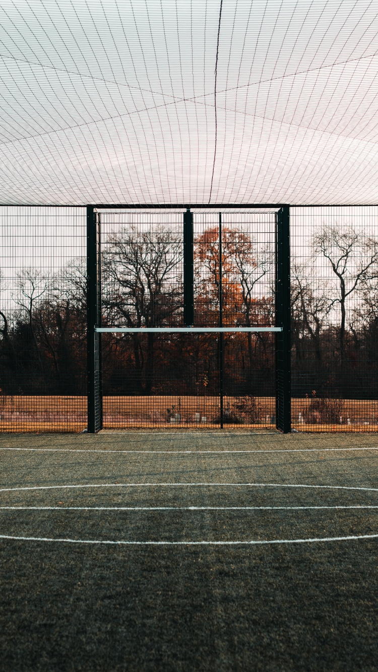 Обои спортивные объекты, теннисный корт, дерево, линия, архитектура в разрешении 750x1334