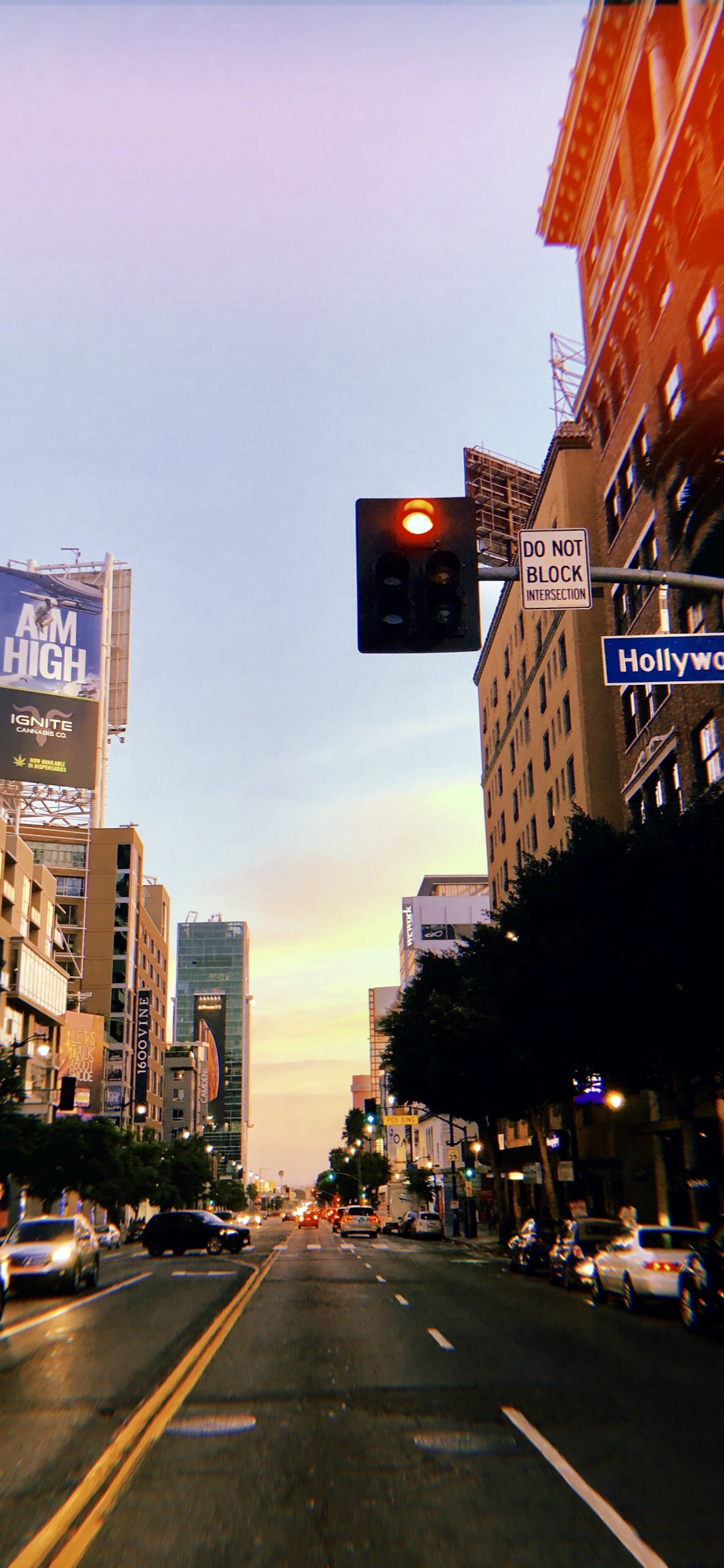 Обои Король, дорога, инфраструктура, соседство, улица в разрешении 1242x2688