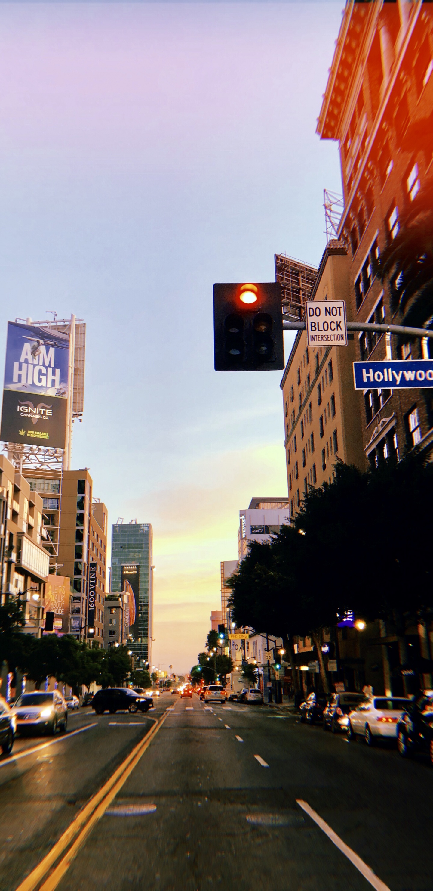 Обои Король, дорога, инфраструктура, соседство, улица в разрешении 1440x2960