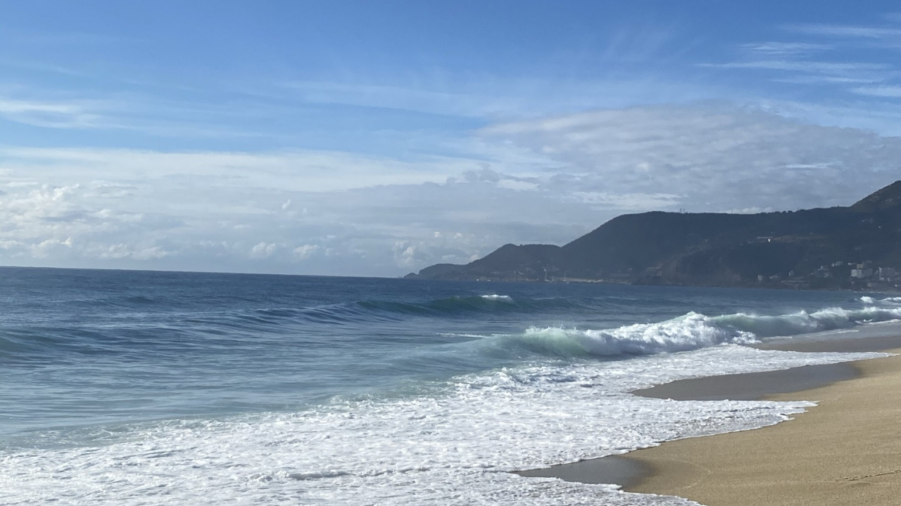 Обои море, вода, облако, пляж, дерево в разрешении 1280x720