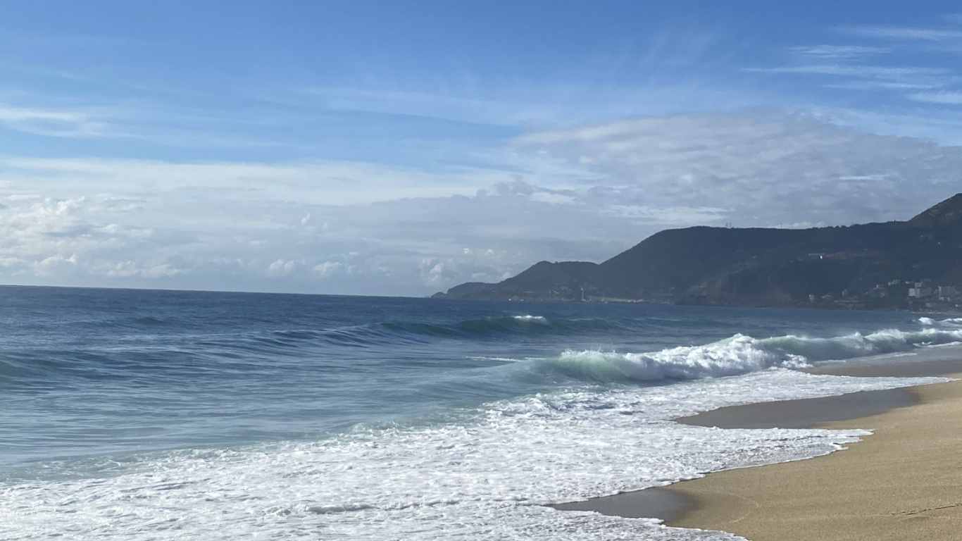 Обои море, вода, облако, пляж, дерево в разрешении 1366x768