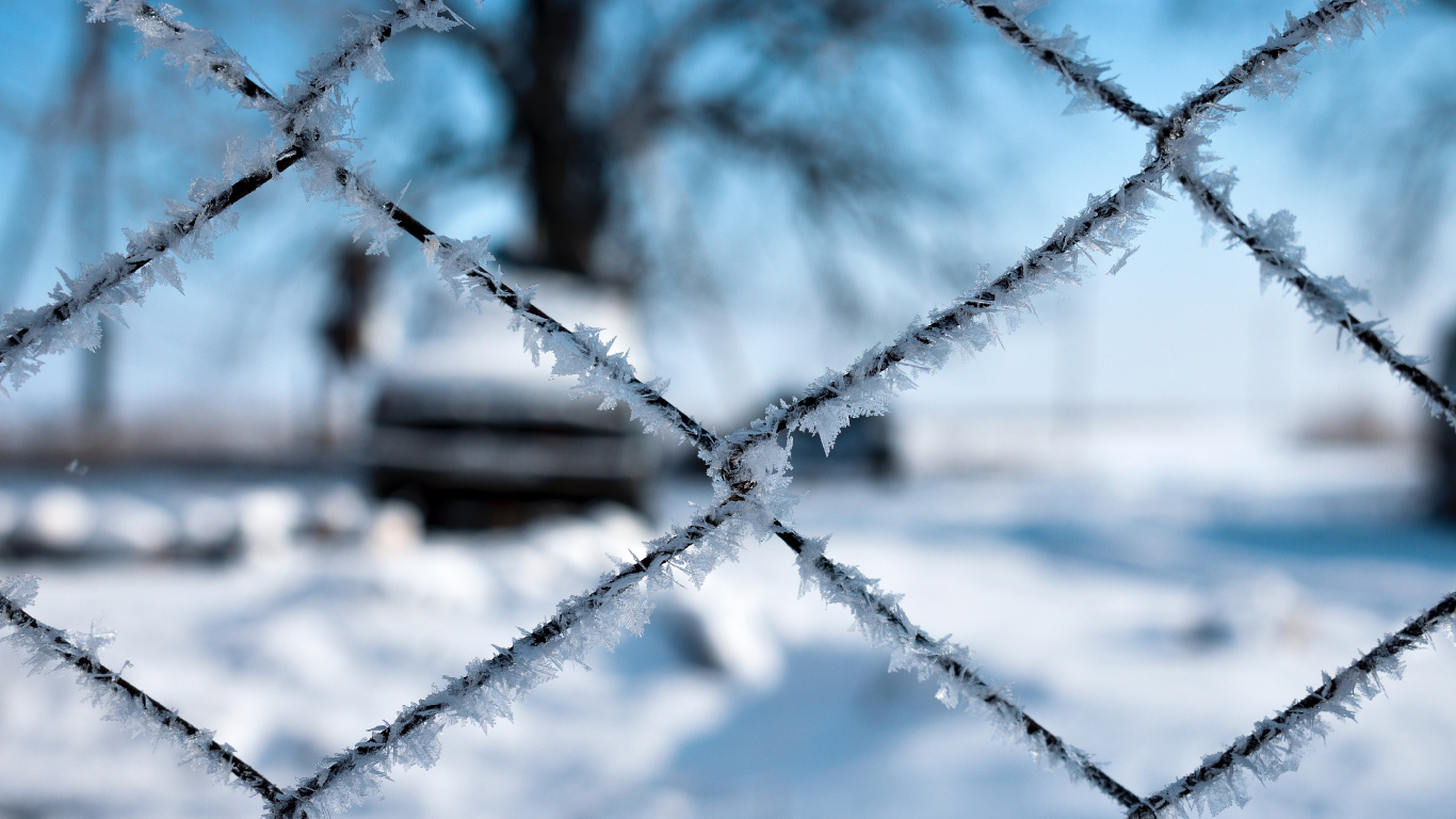 Обои забор, мороз, ограждать провода, ветвь, линия в разрешении 1366x768