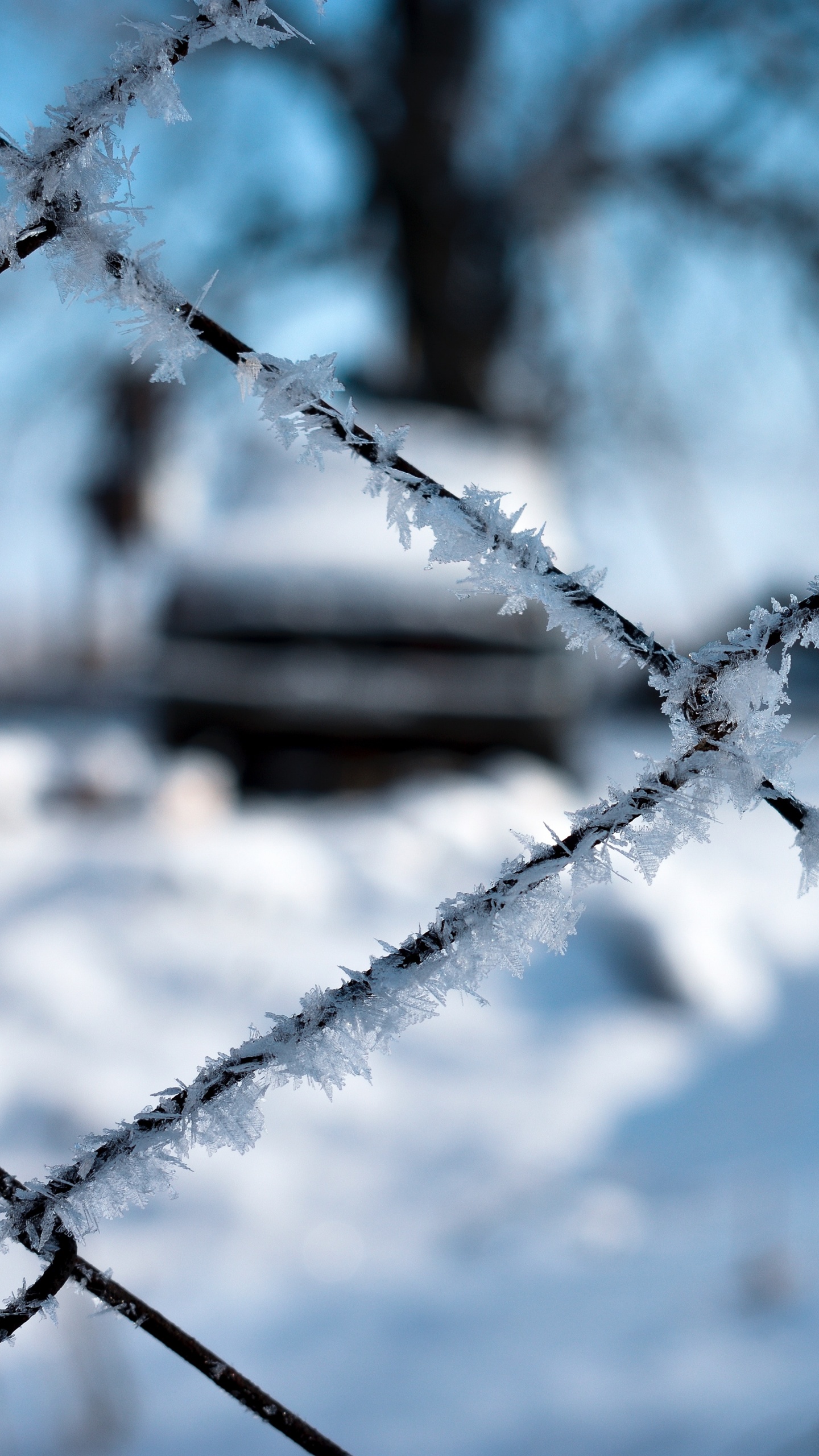 Обои забор, мороз, ограждать провода, ветвь, линия в разрешении 1440x2560