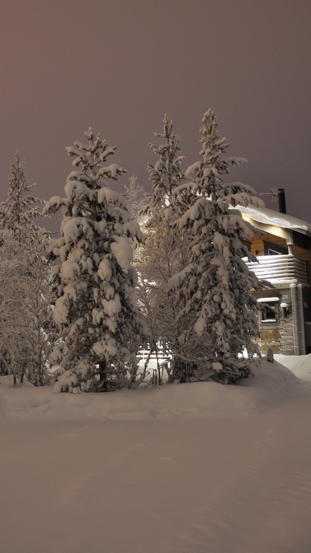 Обои снег, зима, дерево, замораживание, родина в разрешении 1080x1920