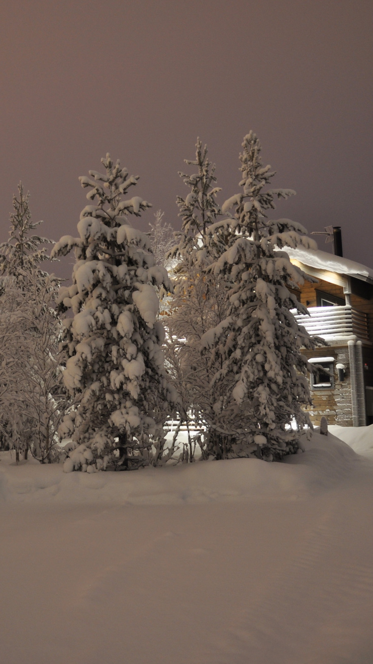 Обои снег, зима, дерево, замораживание, родина в разрешении 750x1334