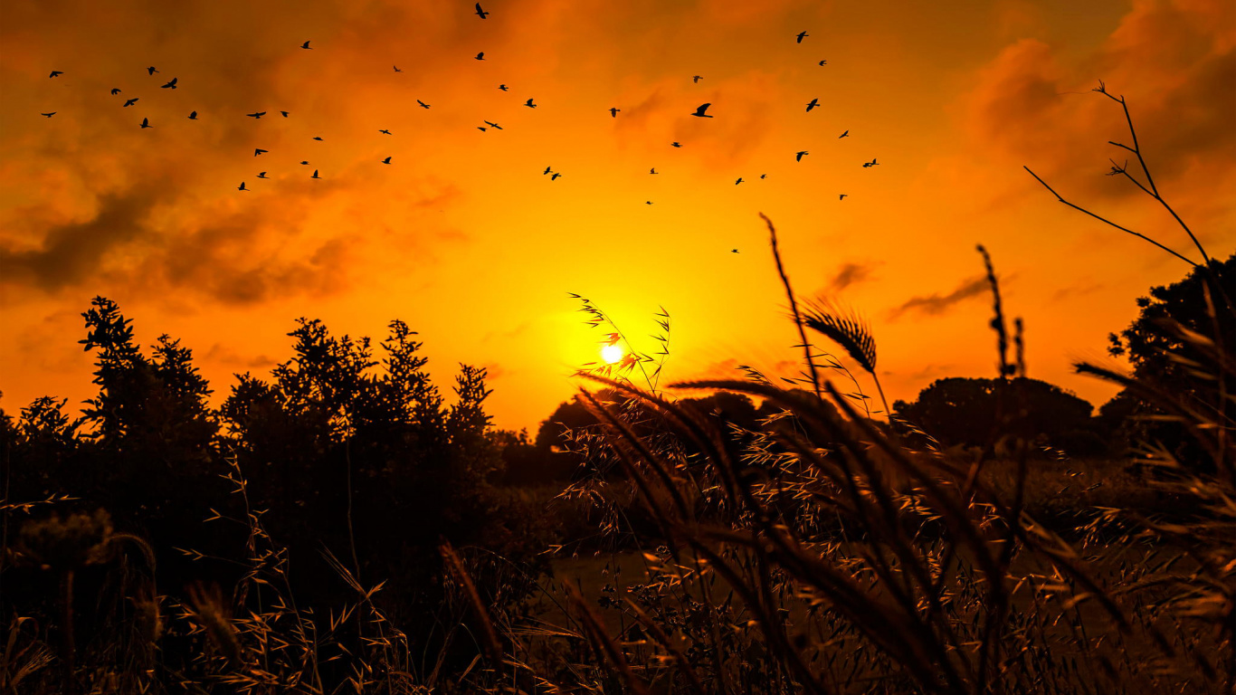 Обои закат, послесвечение, вечер, пейзаж, атмосфера в разрешении 1366x768