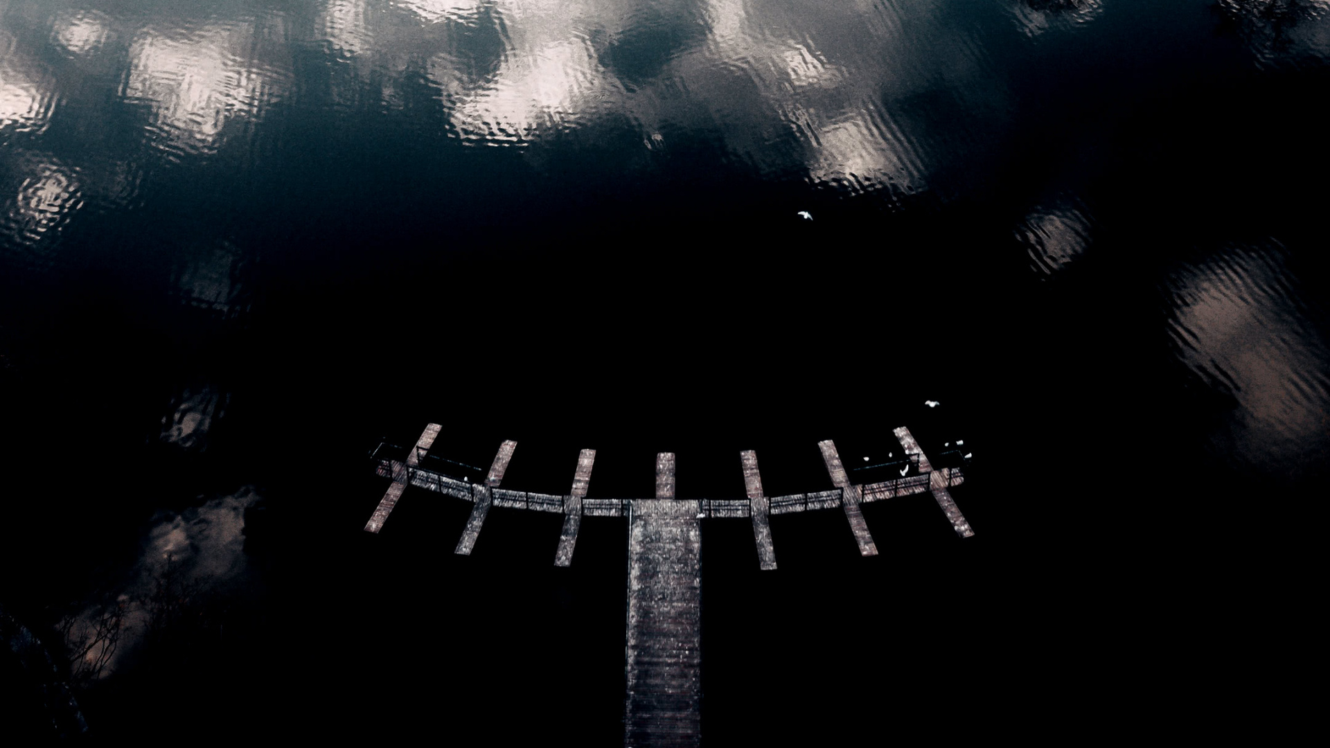 Обои отражение, вода, облако, автомобильные шины, асфальт в разрешении 1920x1080