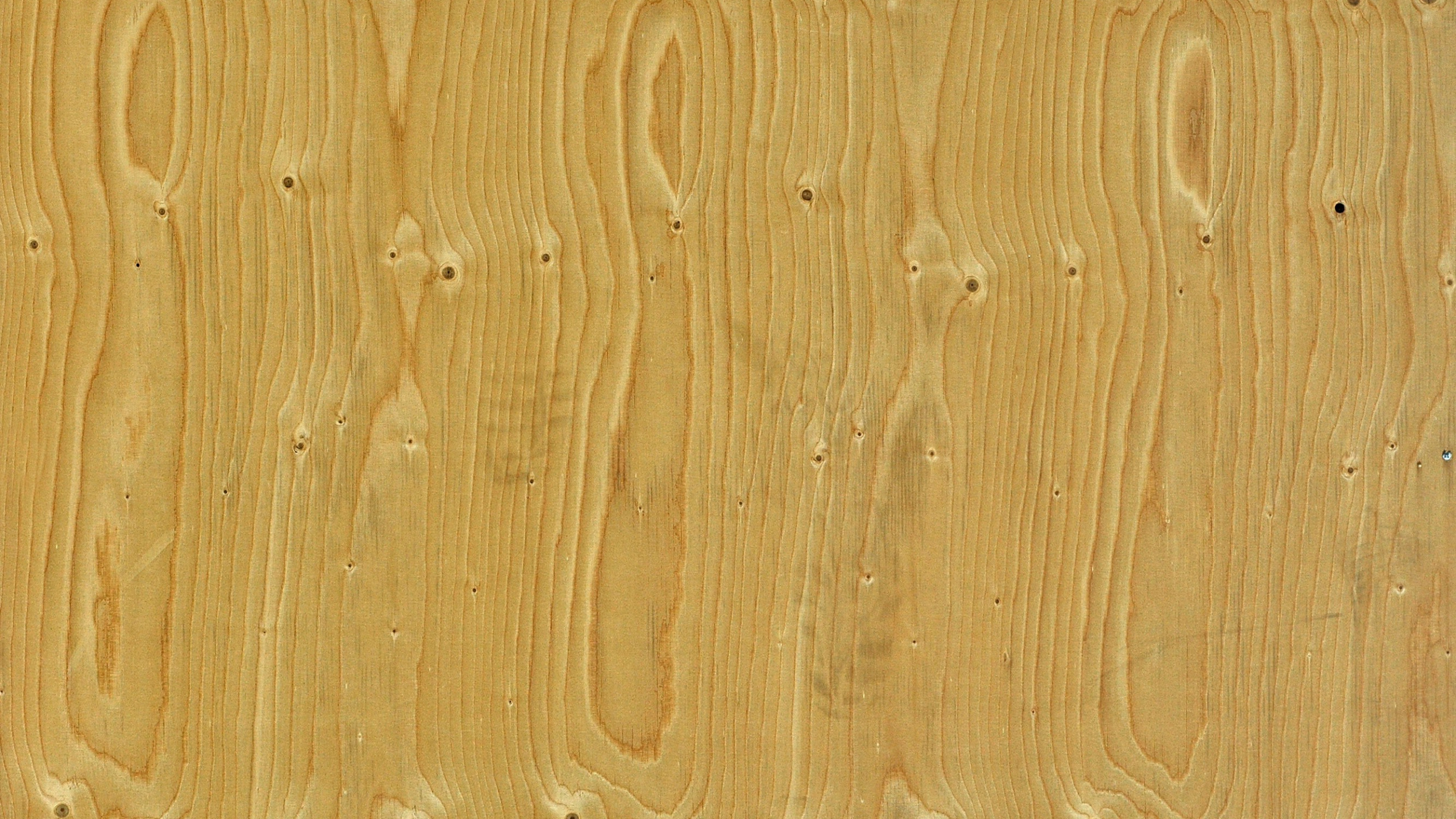 Обои планка, морилка, твердая древесина, древесина, этаж в разрешении 2560x1440