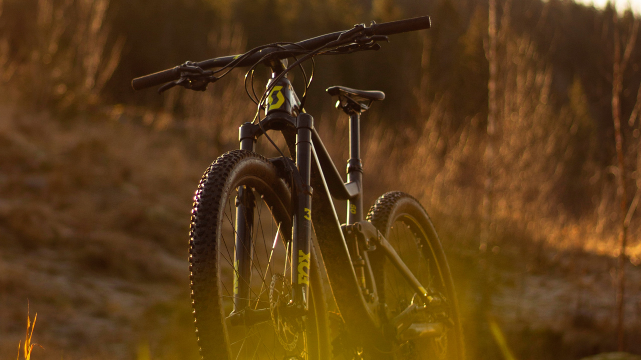 Обои природа, трава, желтый, дорога, Велоспорт в разрешении 1280x720