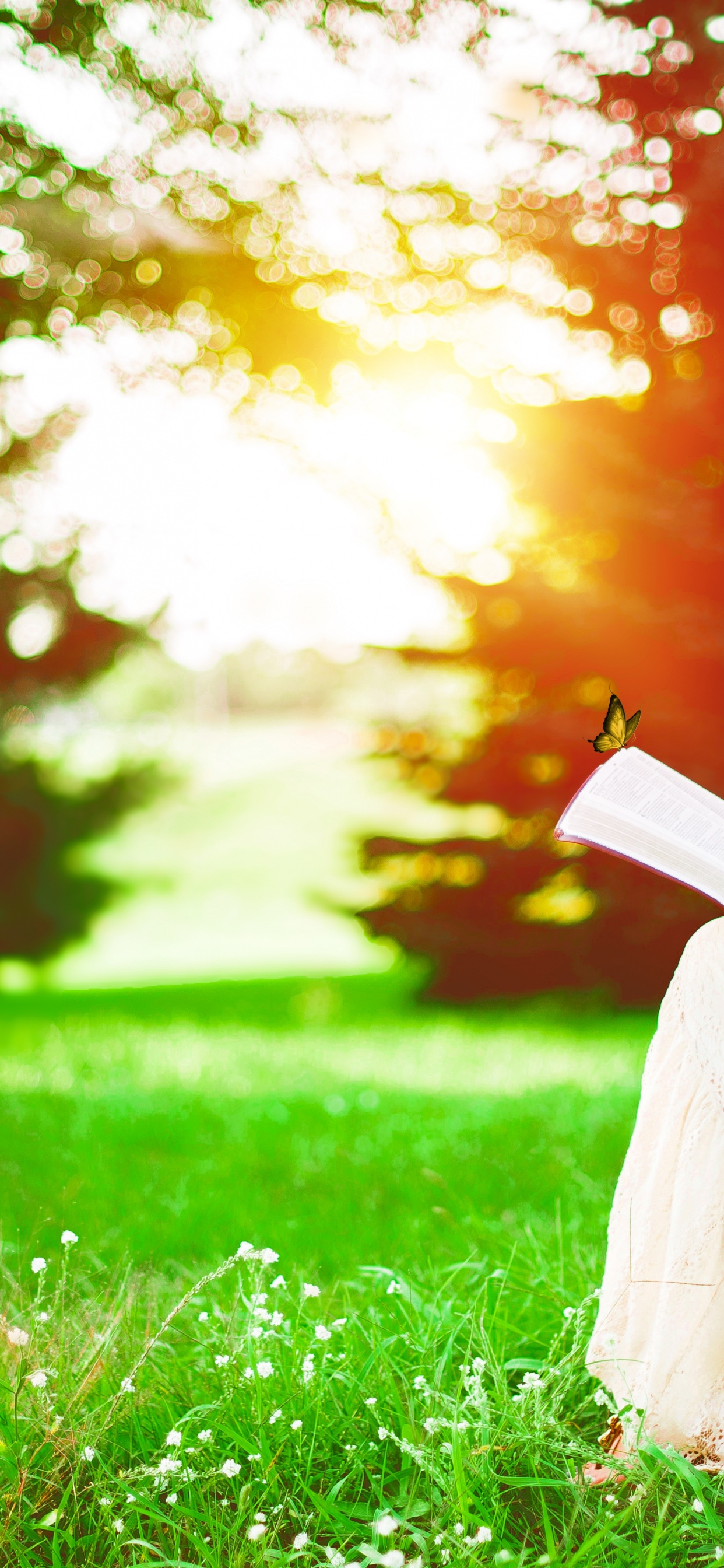 Обои счастлив в одиночестве, счастье, чувство, экстраверсия и интроверсия, растение в разрешении 1242x2688