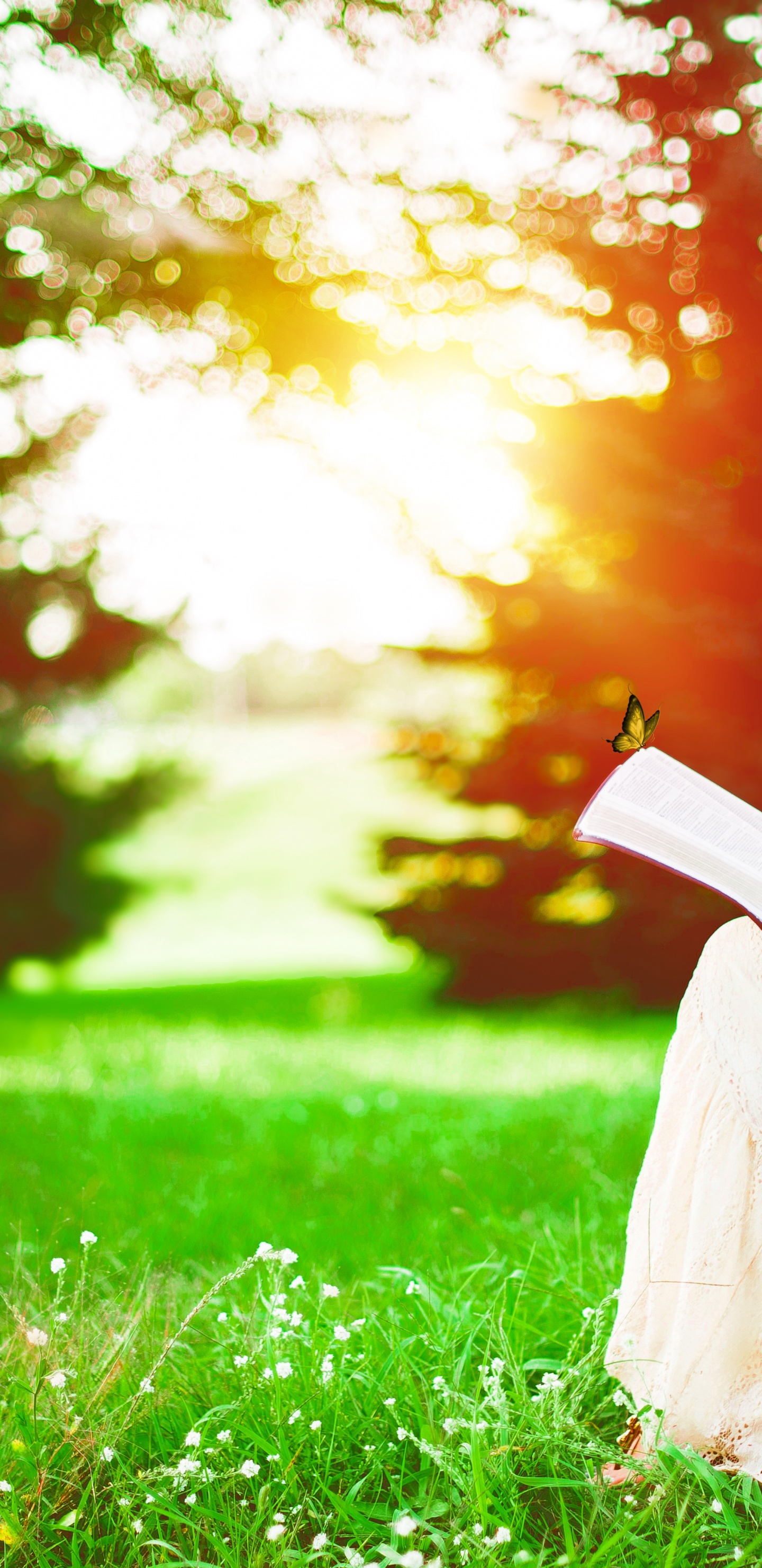 Обои счастлив в одиночестве, счастье, чувство, экстраверсия и интроверсия, растение в разрешении 1440x2960