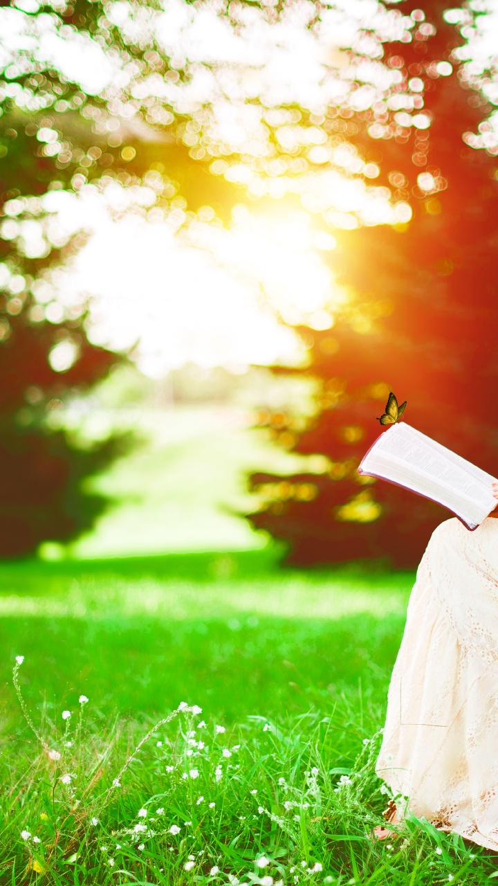 Обои счастлив в одиночестве, счастье, чувство, экстраверсия и интроверсия, растение в разрешении 720x1280