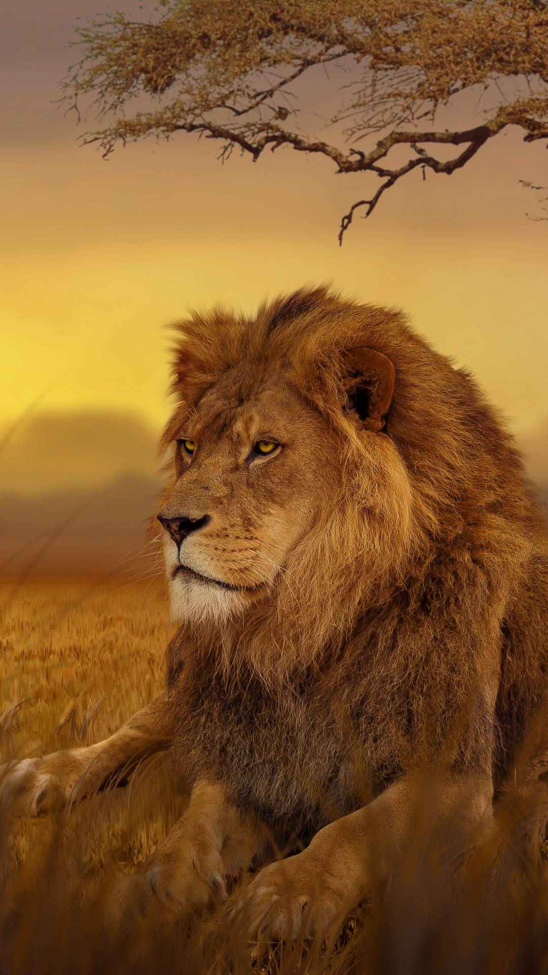 Обои Лев, белый Лев, живая природа, масаи Лев, кошачьих в разрешении 1080x1920