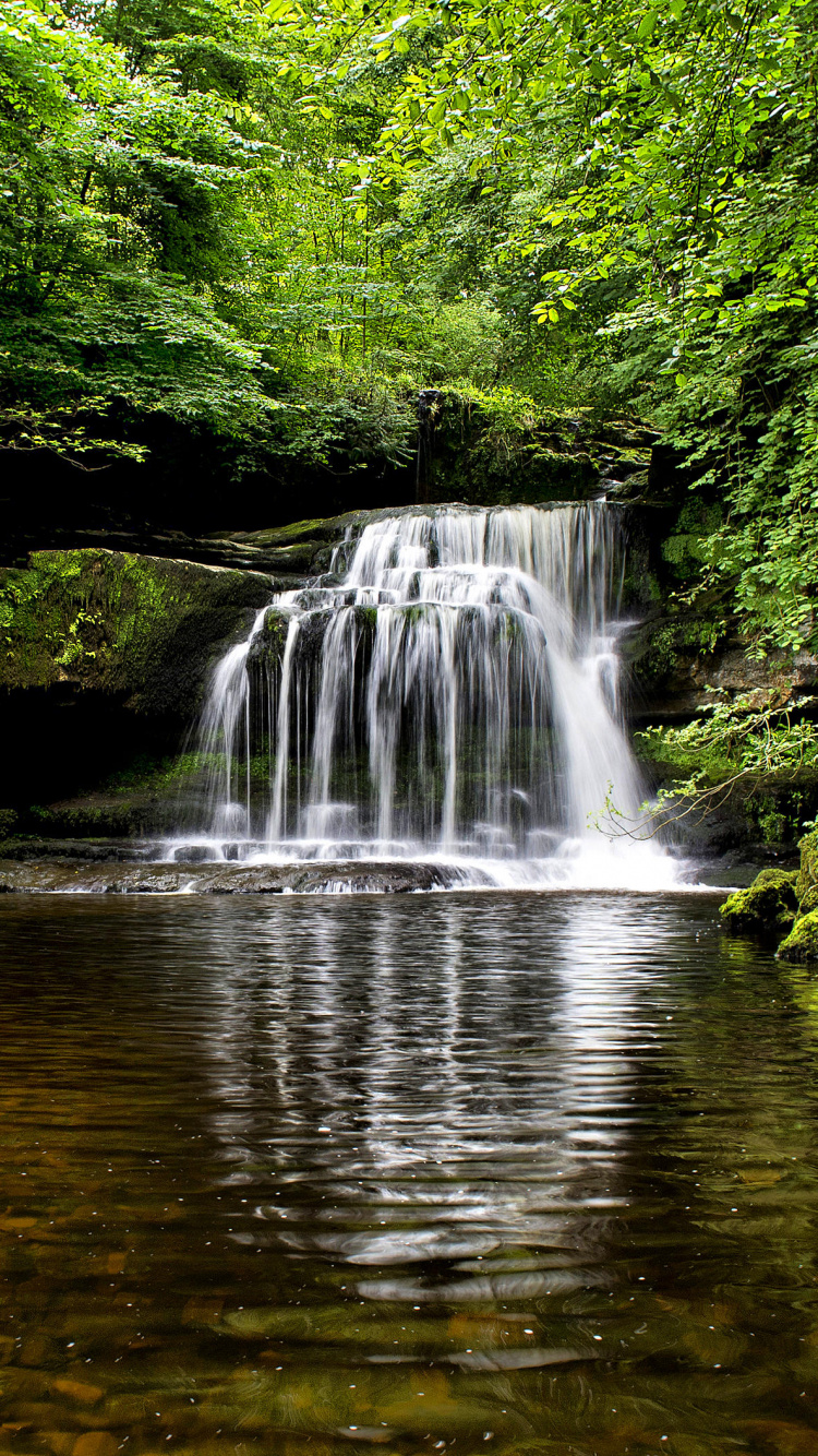 Обои водопад, водоток, природный заповедник, реки, водоем в разрешении 750x1334