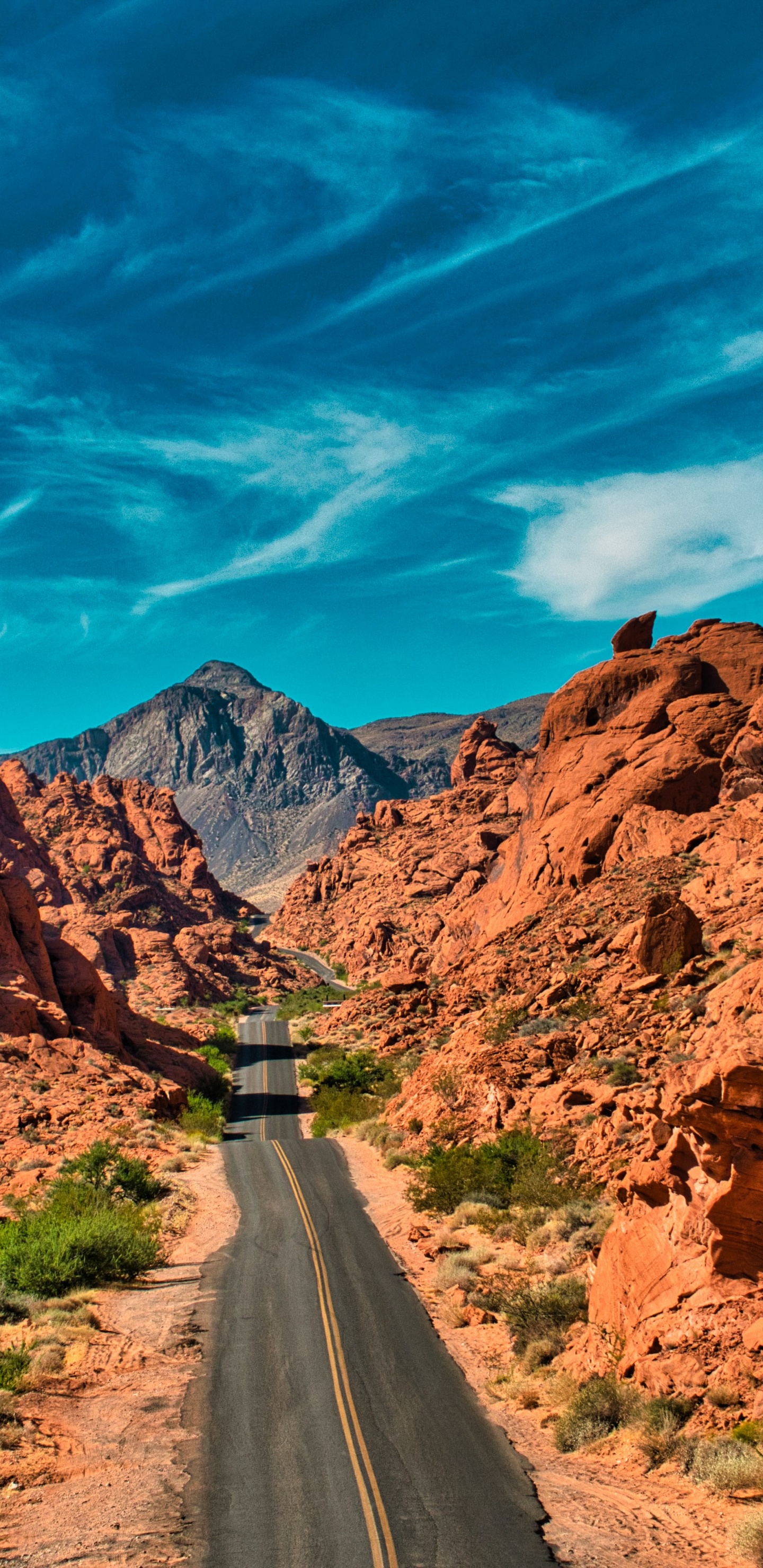 Обои долина огня шоссе, йосемити, мышки танковая дорога, Огненная Волна, Долина в разрешении 1440x2960