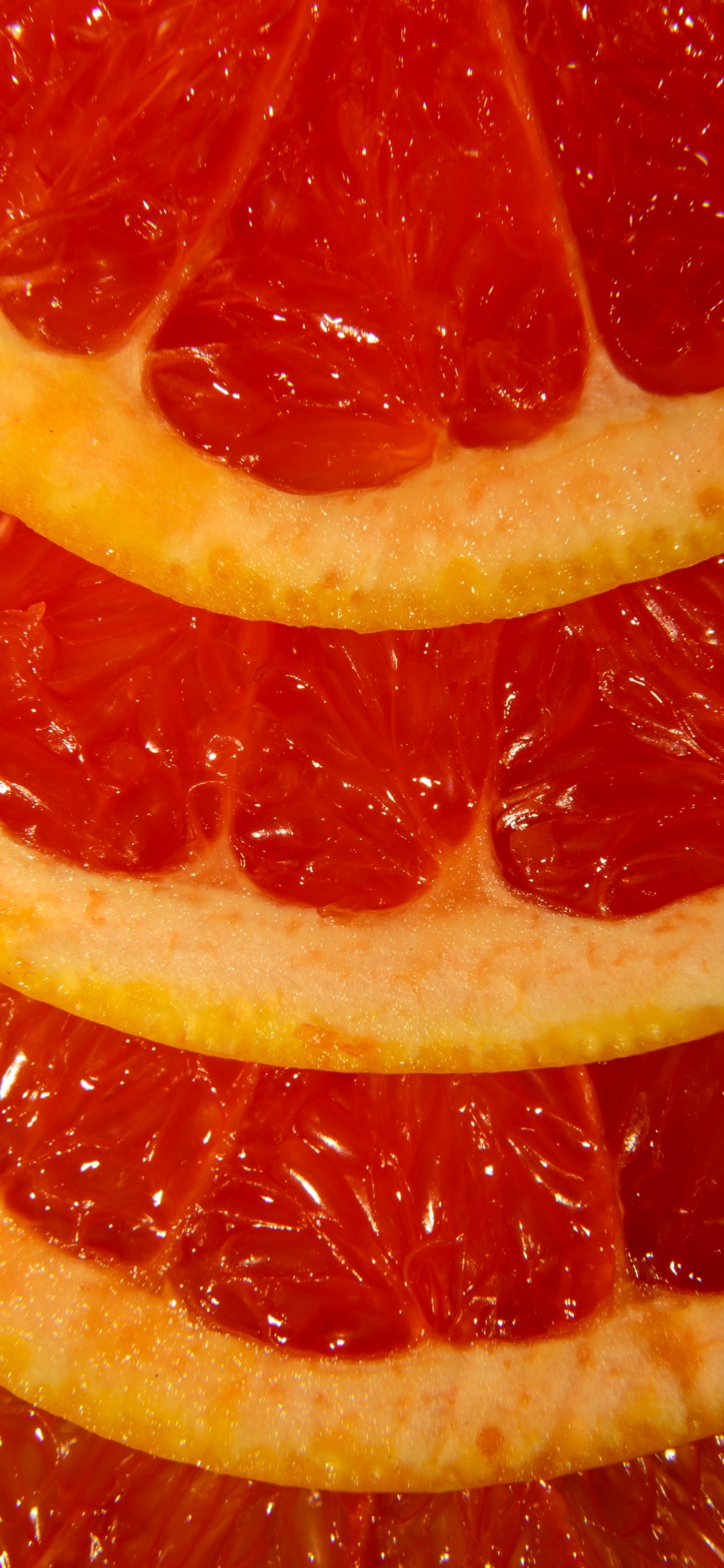 Обои Читторгарх форт, грейпфрутовый сок, Клементина, королек, сок в разрешении 1125x2436