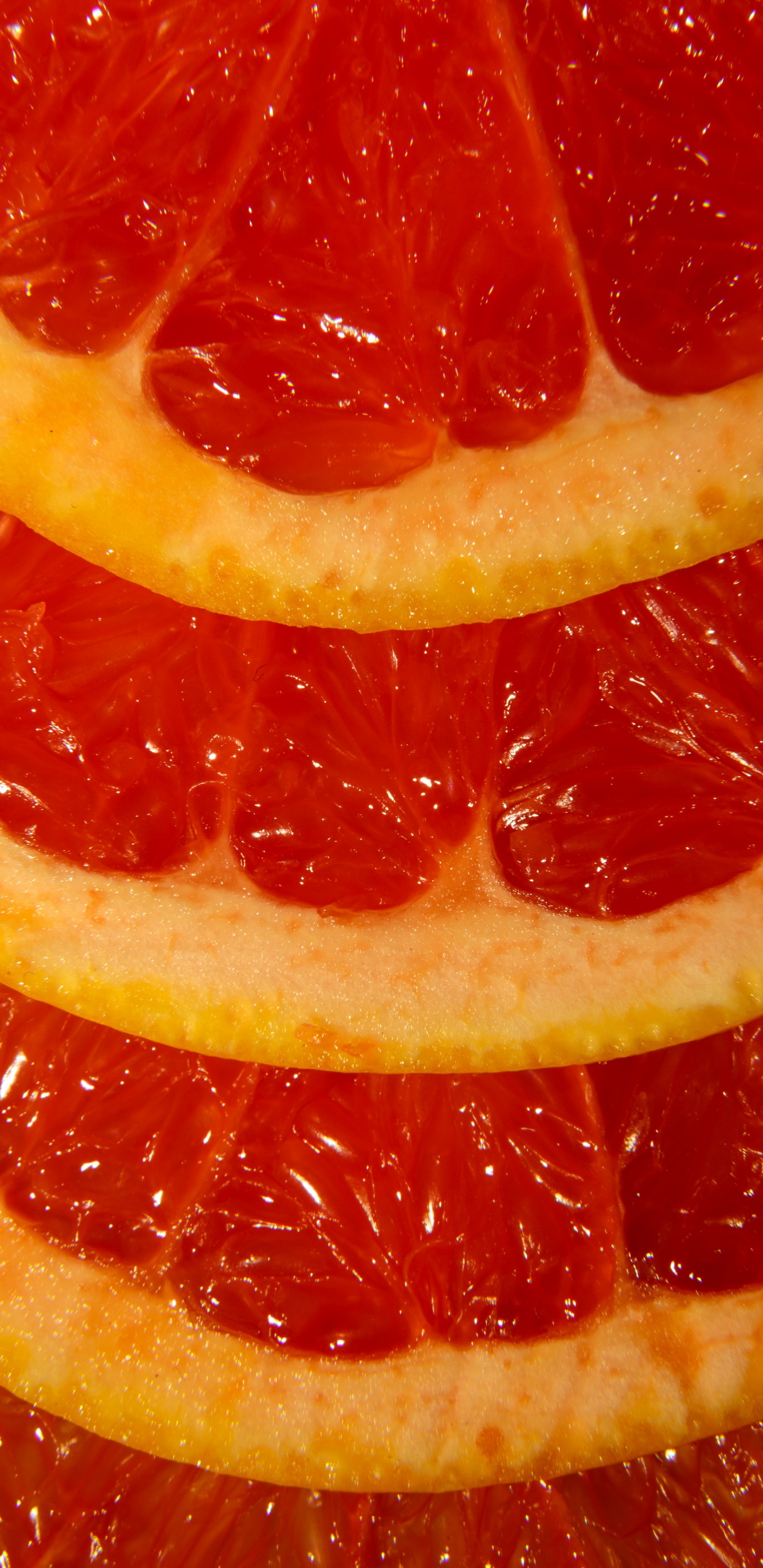 Обои Читторгарх форт, грейпфрутовый сок, Клементина, королек, сок в разрешении 1440x2960