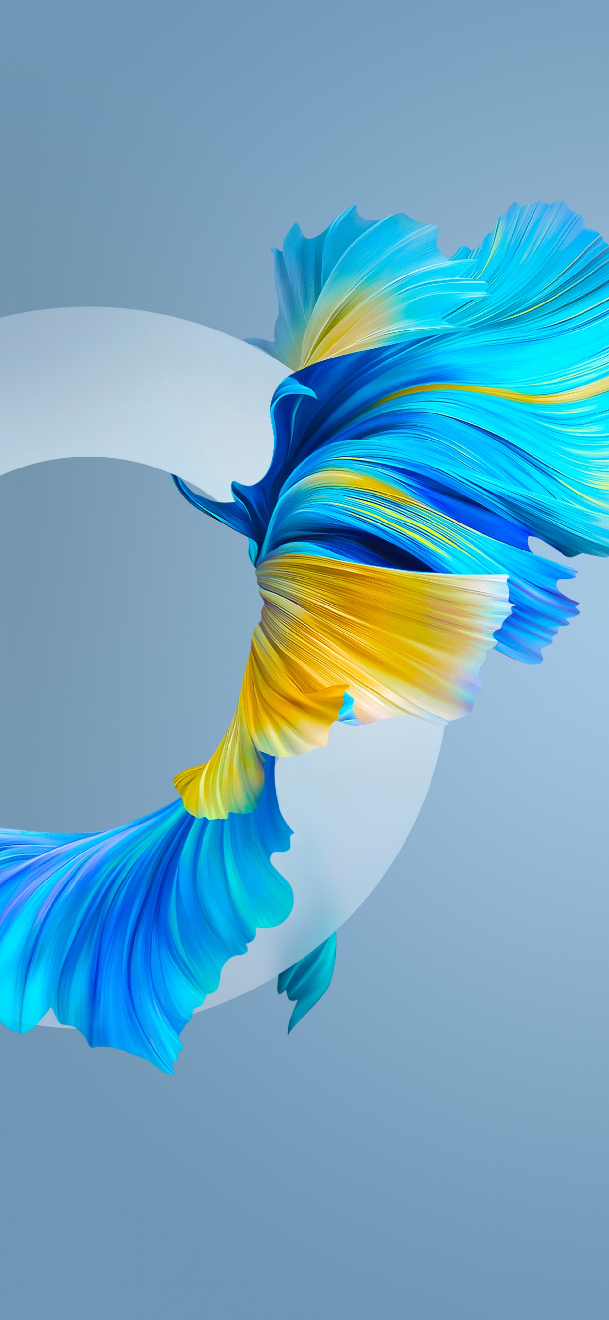 Обои Huawei, Huawei Mate, Huawei Mate 40 Pro, huawei mate 40, смартфон в разрешении 1242x2688