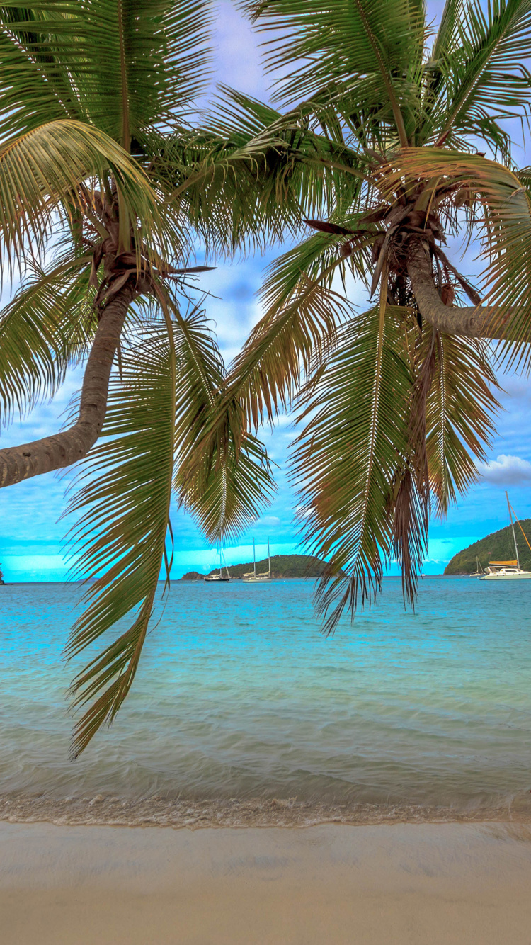 Обои побережье, океан, пляж, море, берег в разрешении 750x1334