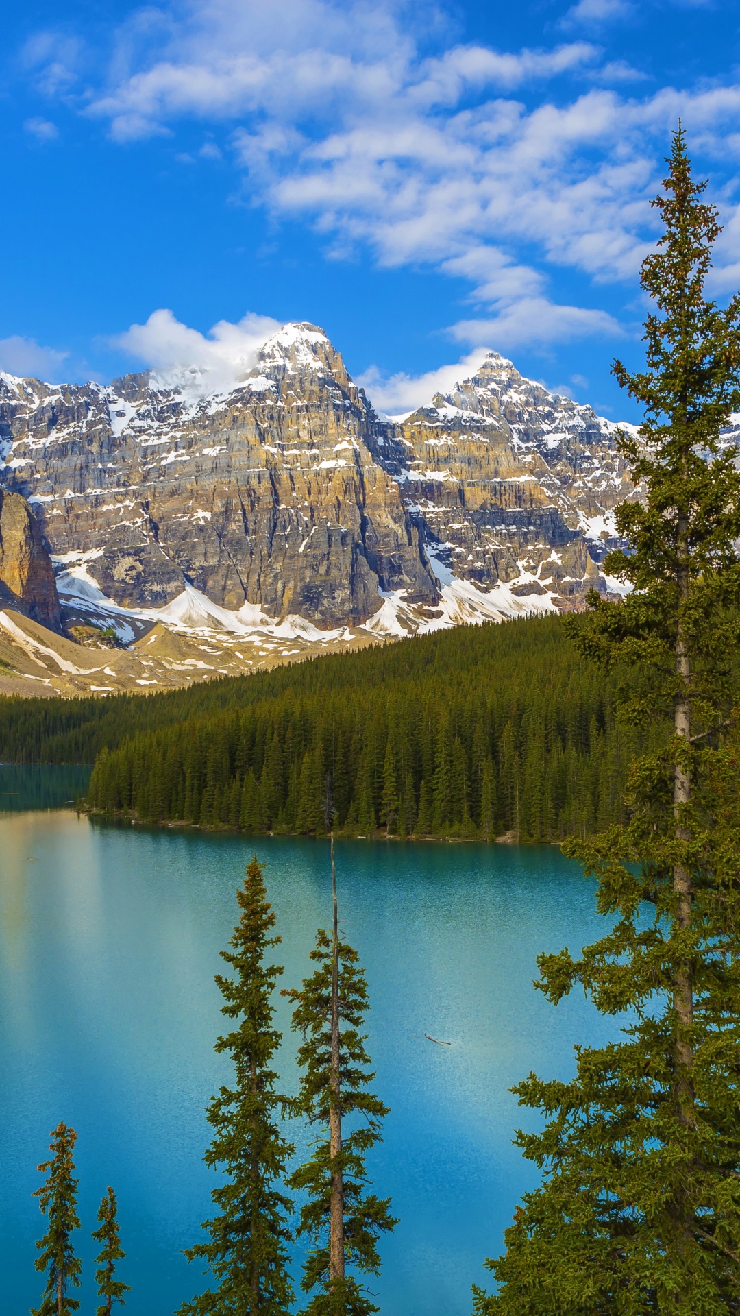 Обои банфф, моренное озеро, долина десяти пиков, национальный парк, парк в разрешении 1080x1920