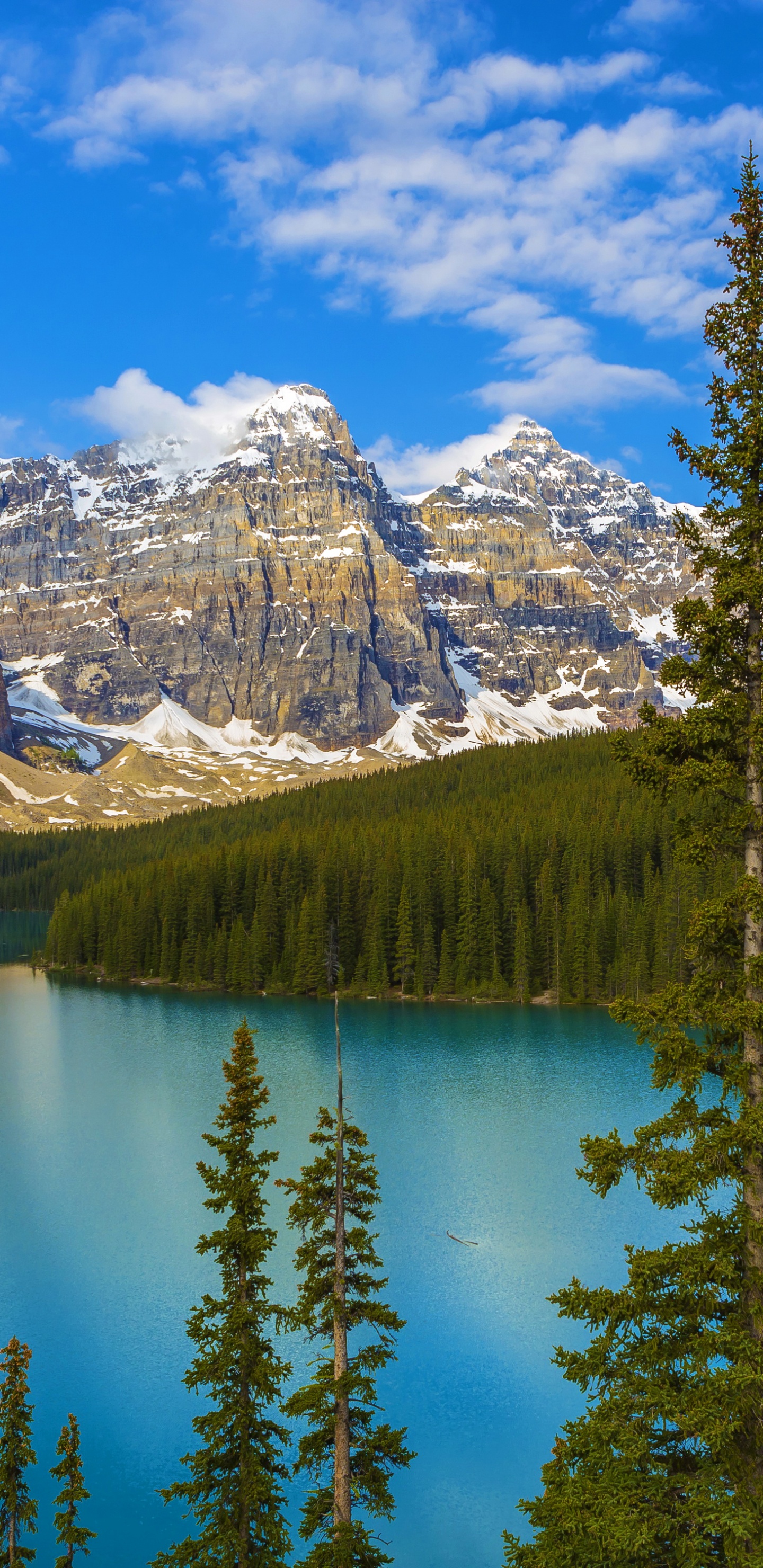 Обои банфф, моренное озеро, долина десяти пиков, национальный парк, парк в разрешении 1440x2960