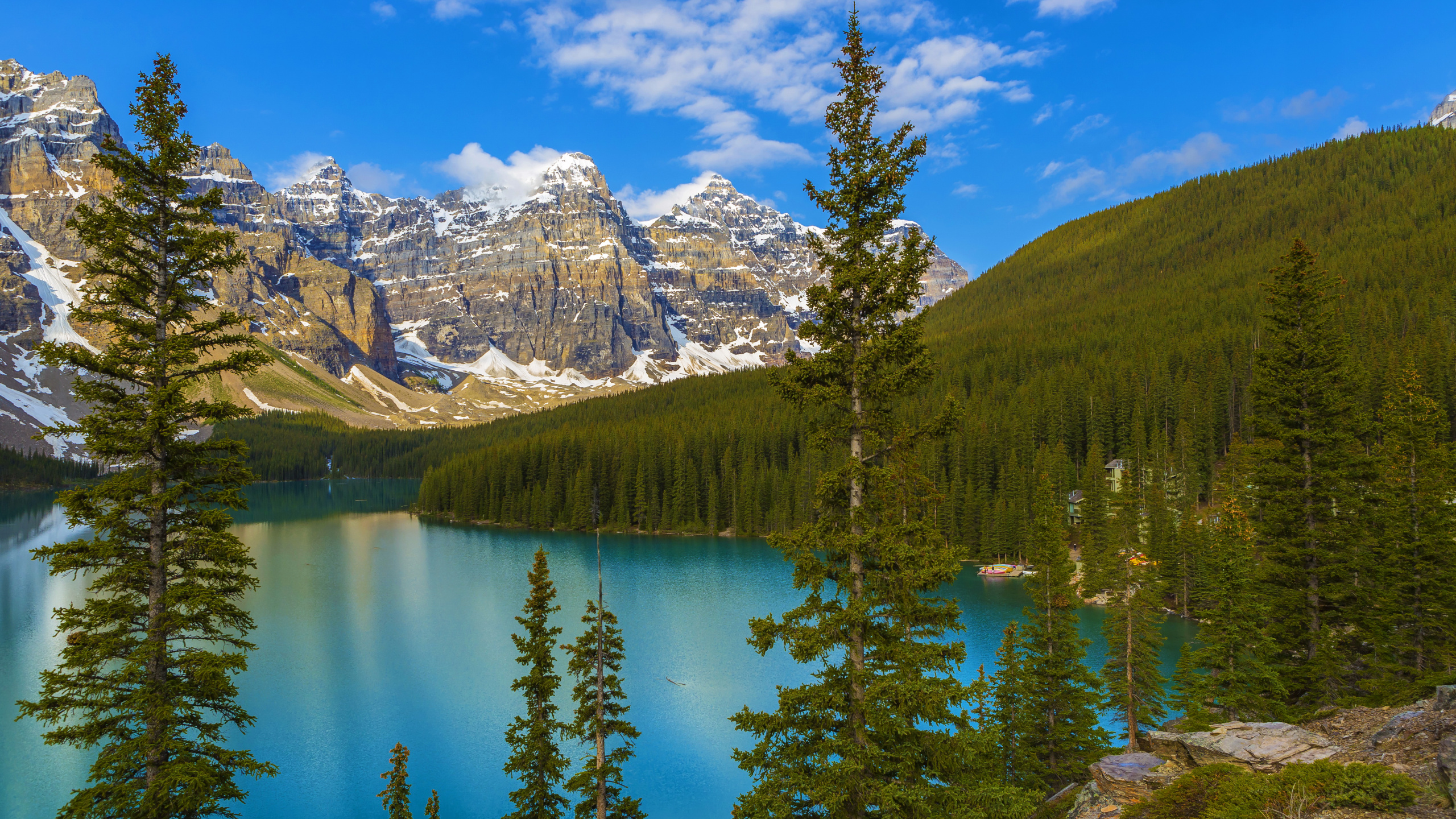 Обои банфф, моренное озеро, долина десяти пиков, национальный парк, парк в разрешении 2560x1440