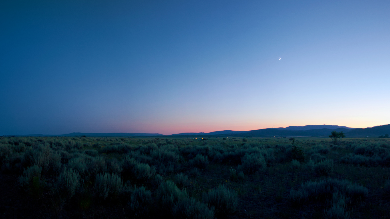 Обои сенокосное угодье, атмосфера, облако, растение, природный ландшафт в разрешении 1366x768